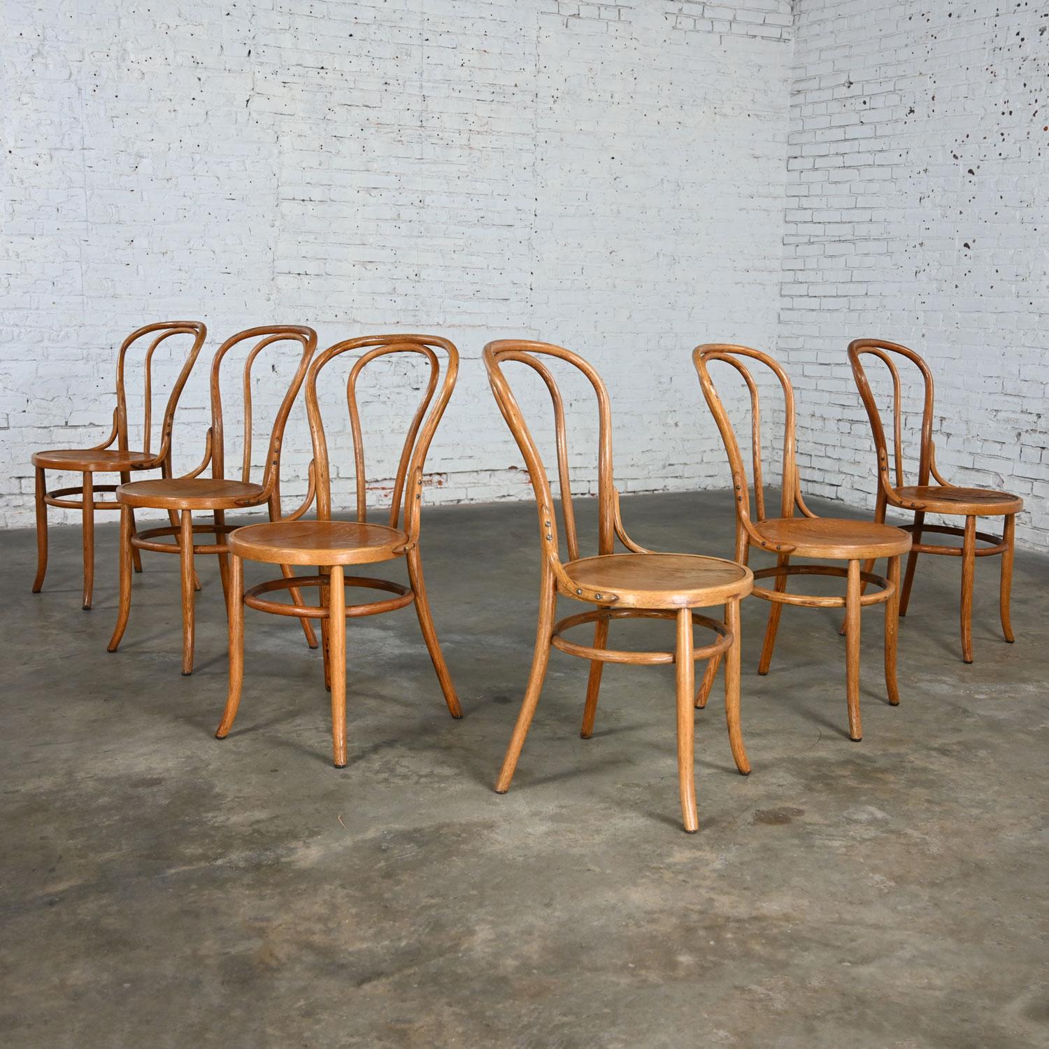 Bauhaus Oak Bentwood Chairs Attributed to Thonet #18 Café Chair Set of 6 For Sale 12