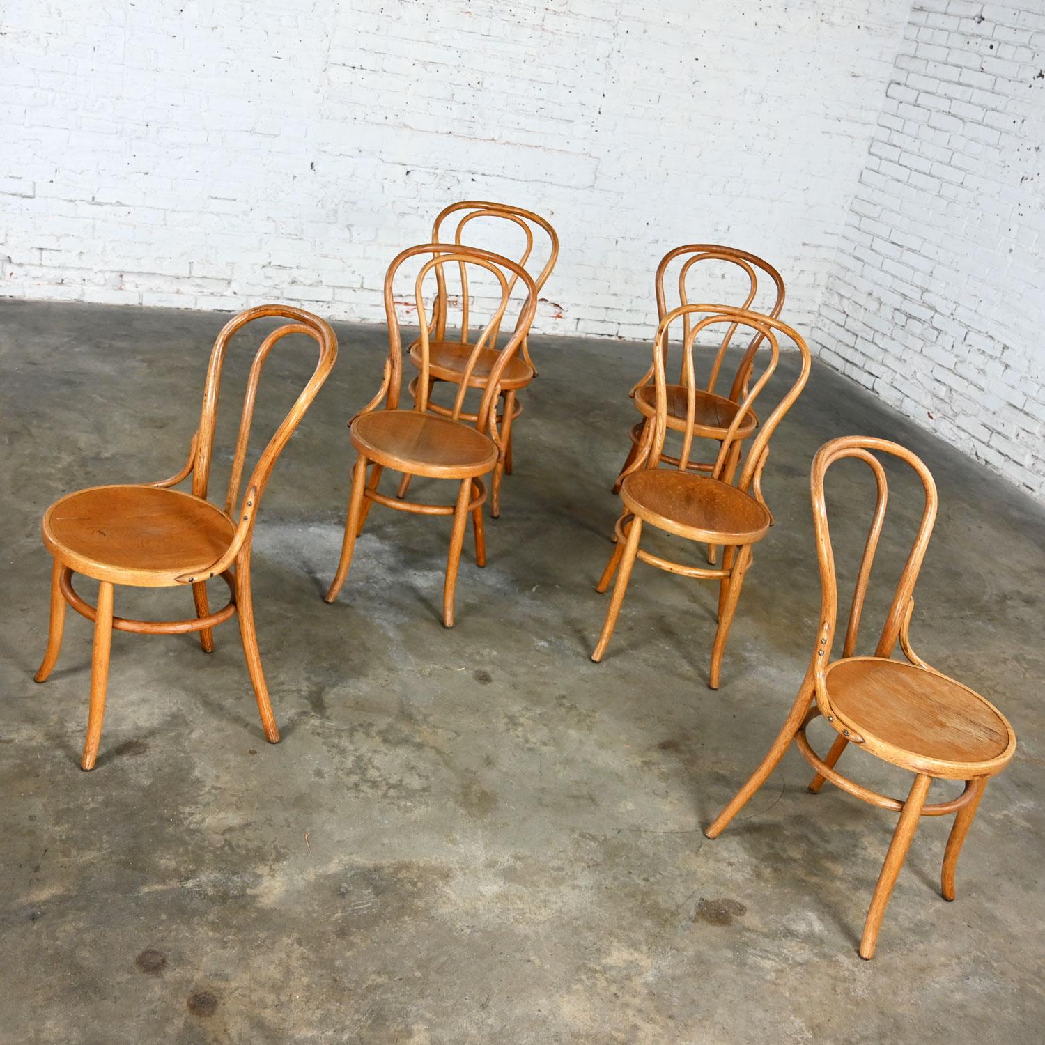 Unknown Bauhaus Oak Bentwood Chairs Attributed to Thonet #18 Café Chair Set of 6 For Sale