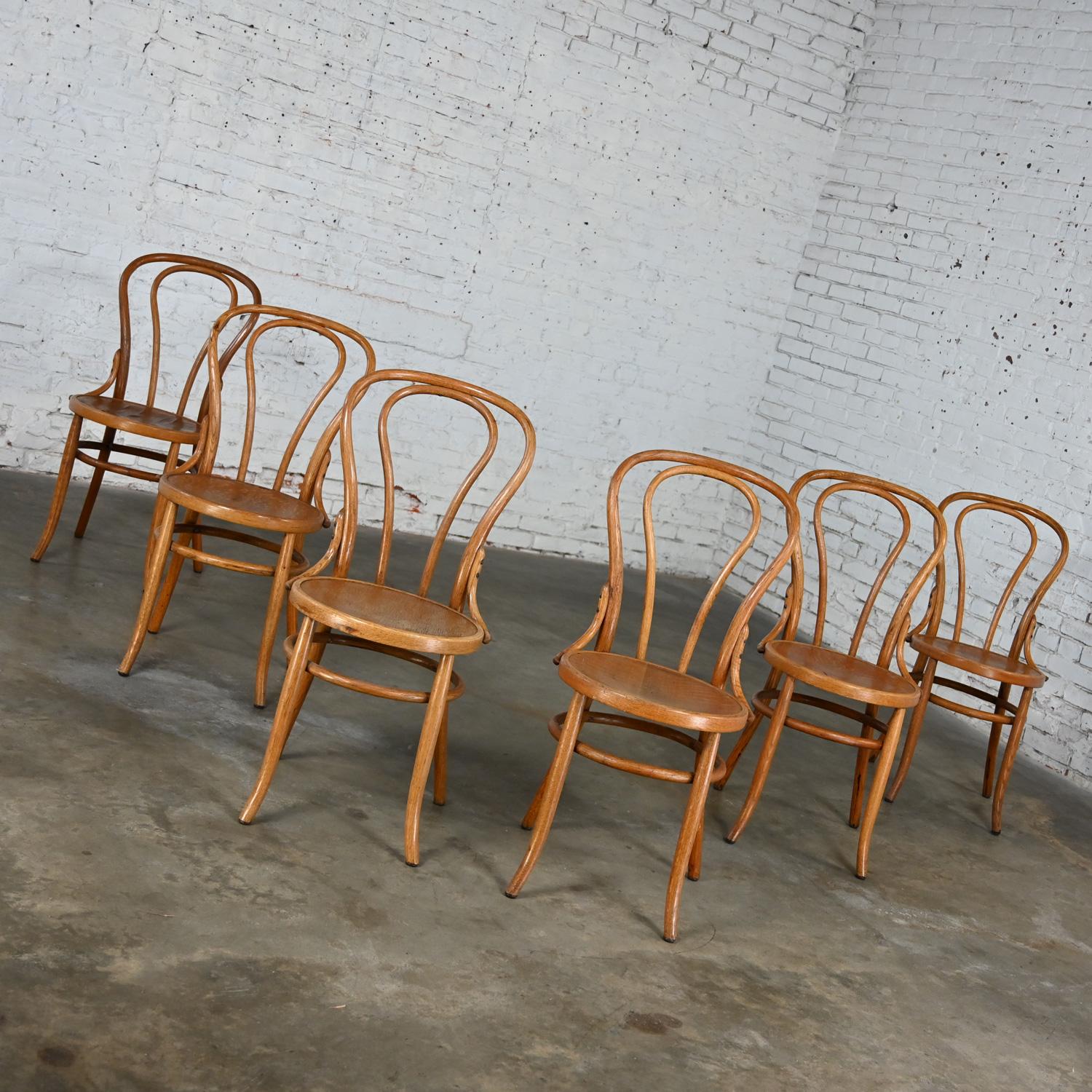 20th Century Bauhaus Oak Bentwood Chairs Attributed to Thonet #18 Café Chair Set of 6 For Sale
