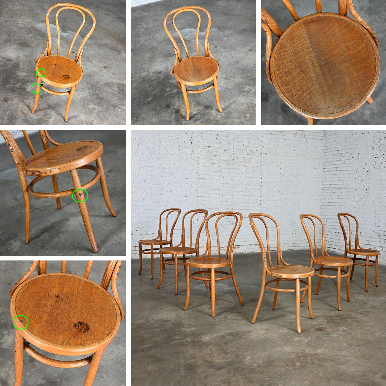 Bauhaus Oak Bentwood Chairs Attributed to Thonet #18 Café Chair Set of 6 For Sale 4