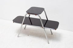 Bauhaus Tubular Steel Flower Stand, 1930´s, Central Europe