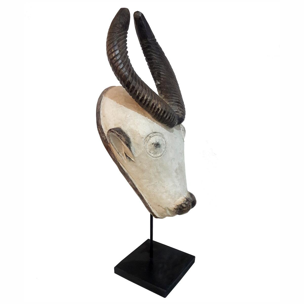 A hand carved Baule mask representing an antelope, from Ivory Coast, late 1960s. Mounted on a black metal stand.