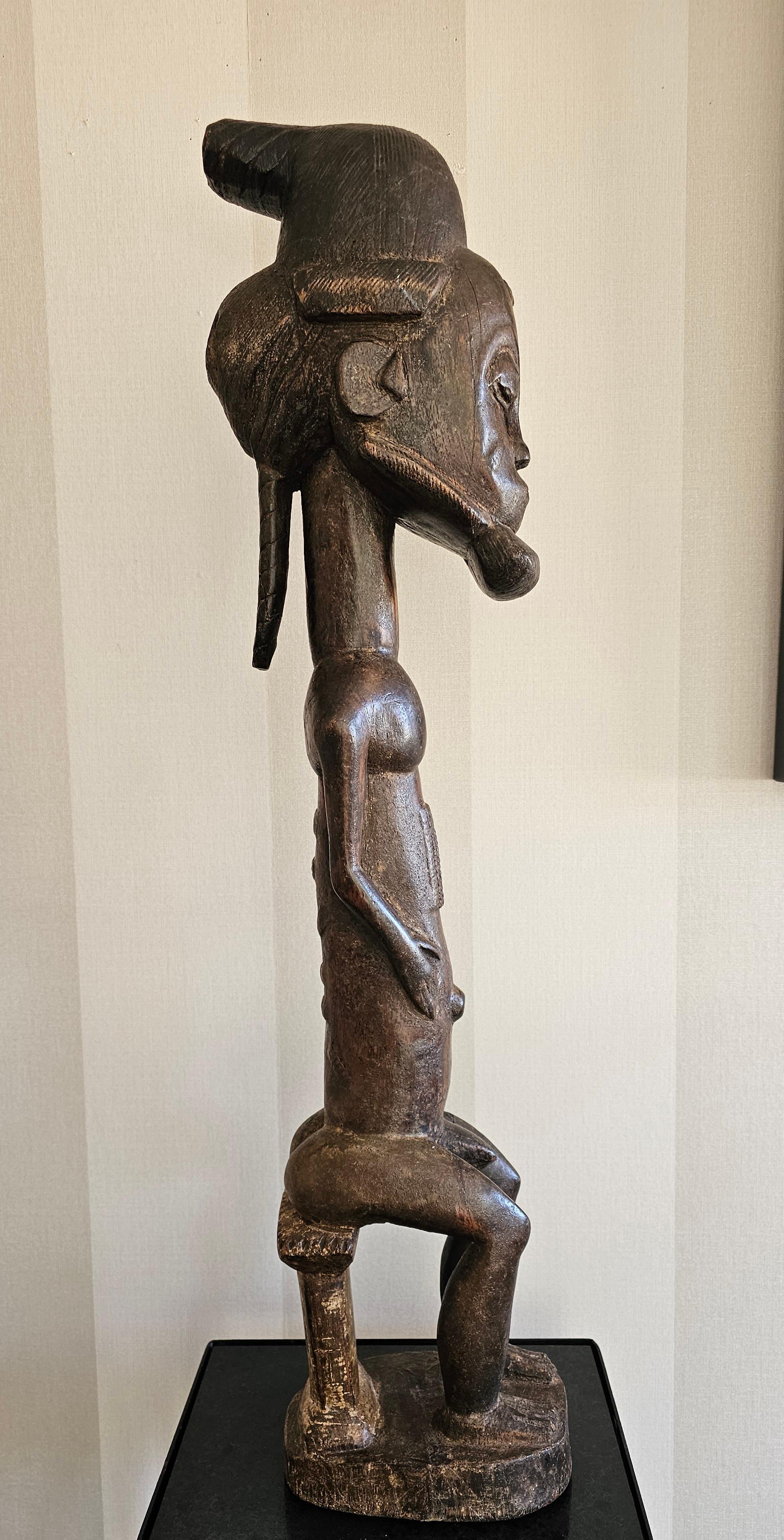 Figura real de Baule Marfileño en venta