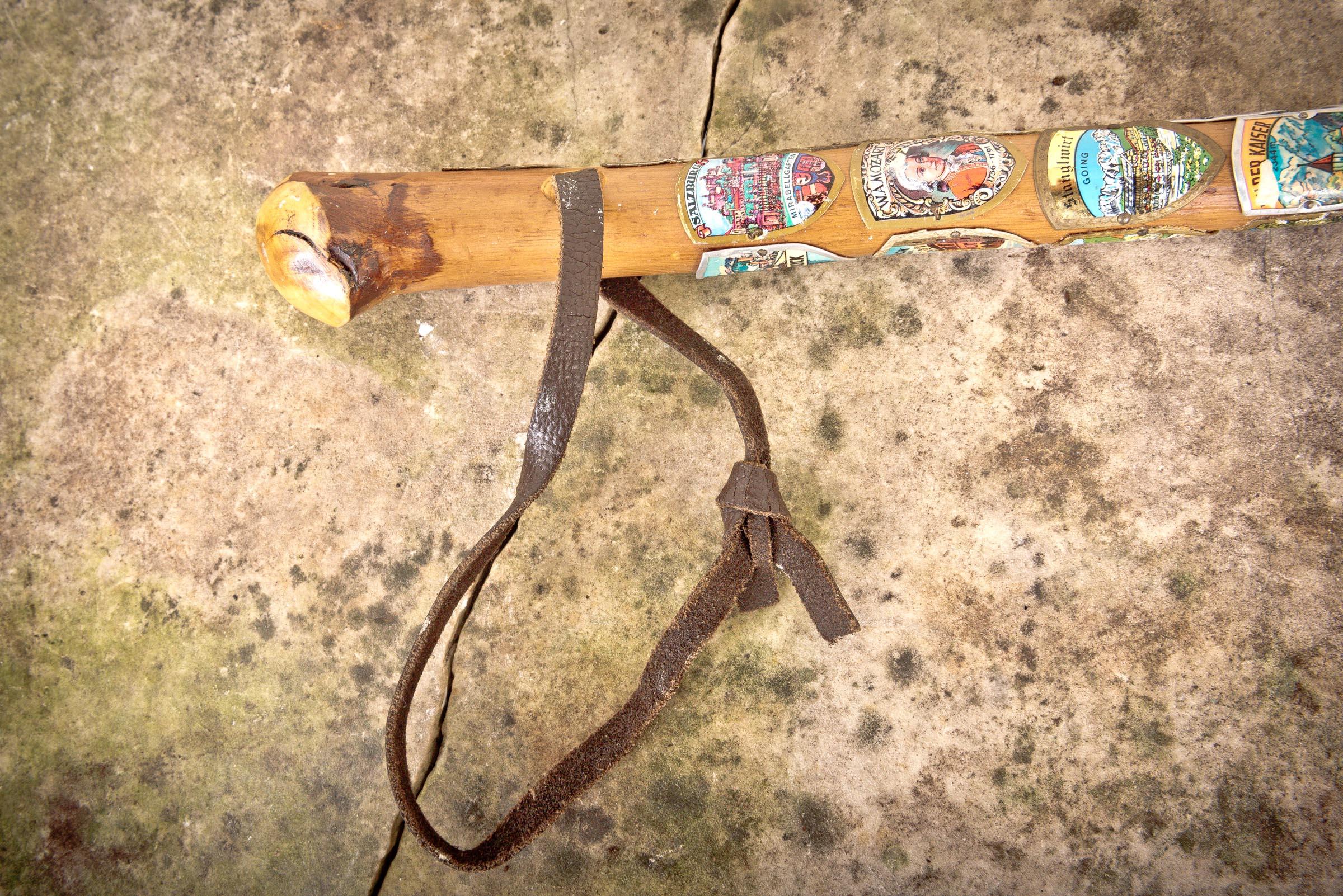 Bavarian Badges Walking Stick 3