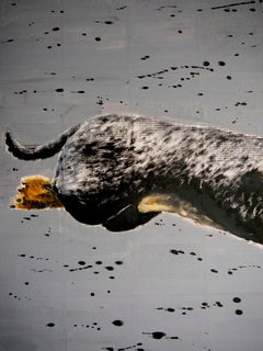 FRENCH SCHOOL Dachshund Come Fly with me Chut les Barbizons XL!