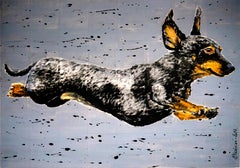FRENCH SCHOOL Dachshund Come Fly with me Chut les Barbizons XL!