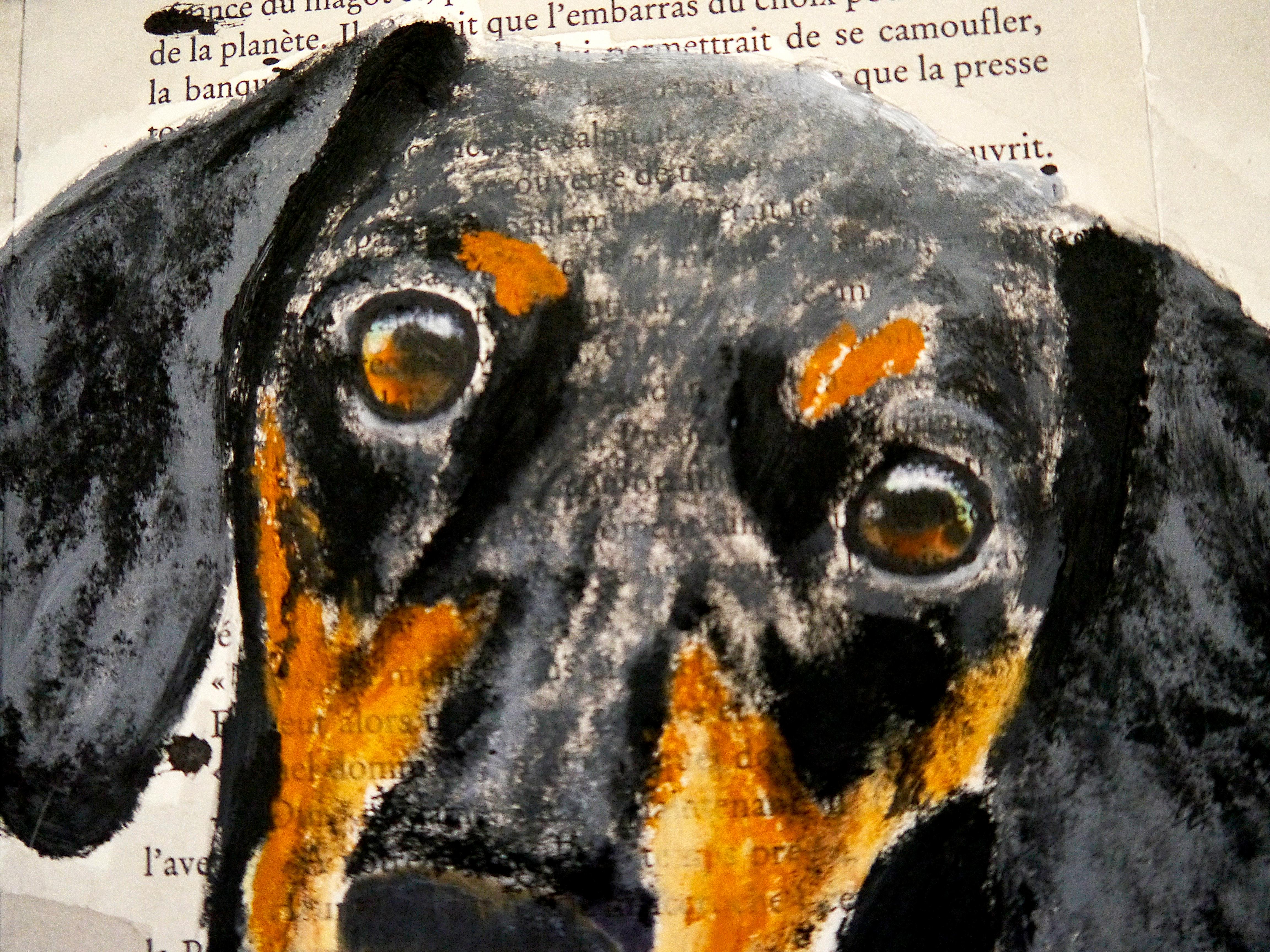 SCUOLA FRANCESE Into the wild Bassotto Chut les Barbizons! - Animal Painting Beige di bazevian animal