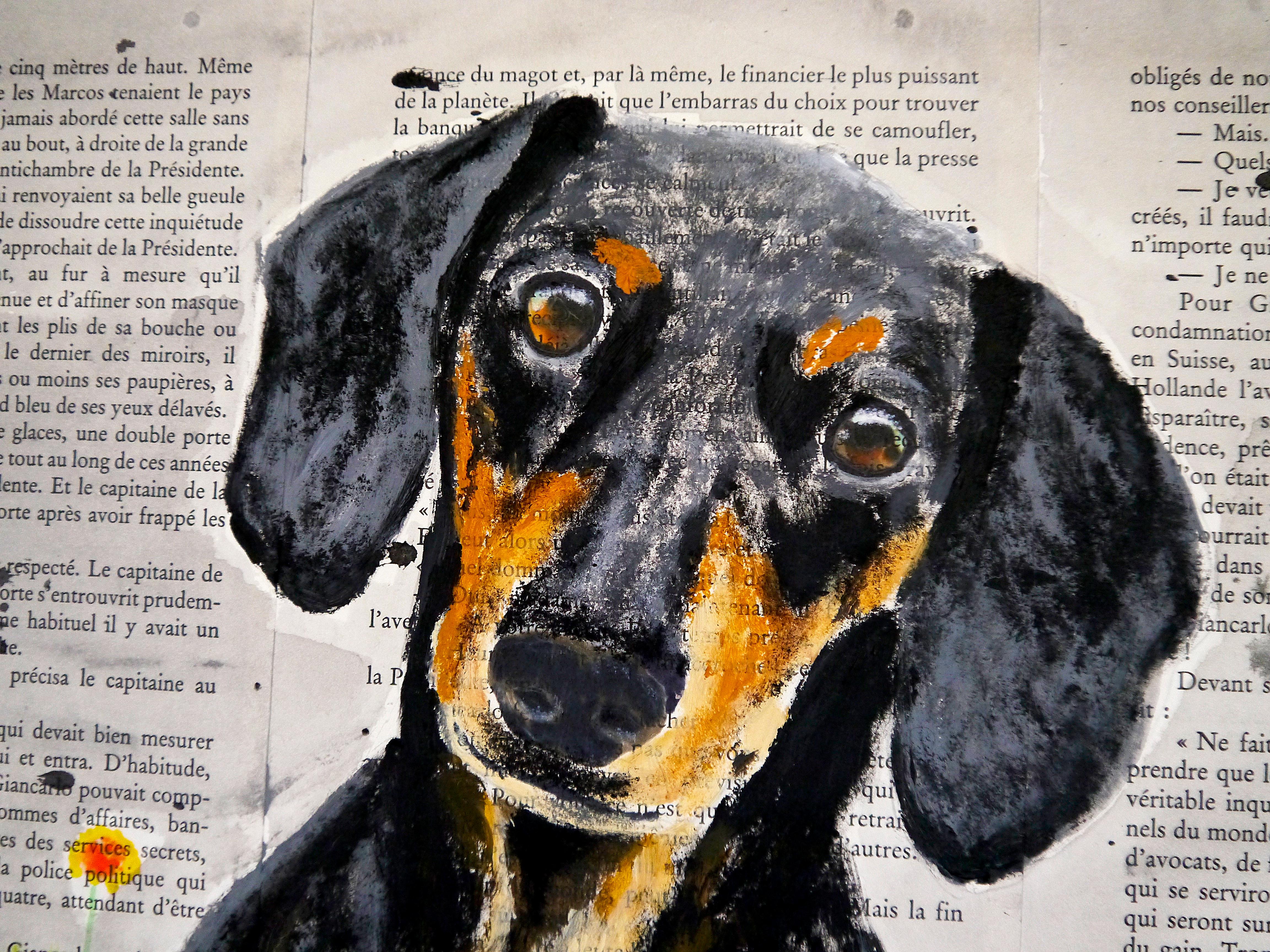 ⏩Into the Wild⏪

Questo lavoro fonde una ritrattistica giocosa con un approccio sperimentale a tecnica mista. A prima vista, l'immagine di un bassotto dagli occhi brillanti e dalla testa curiosa trasmette immediatamente calore e personalità. La