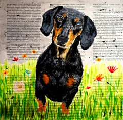 Animal Paintings