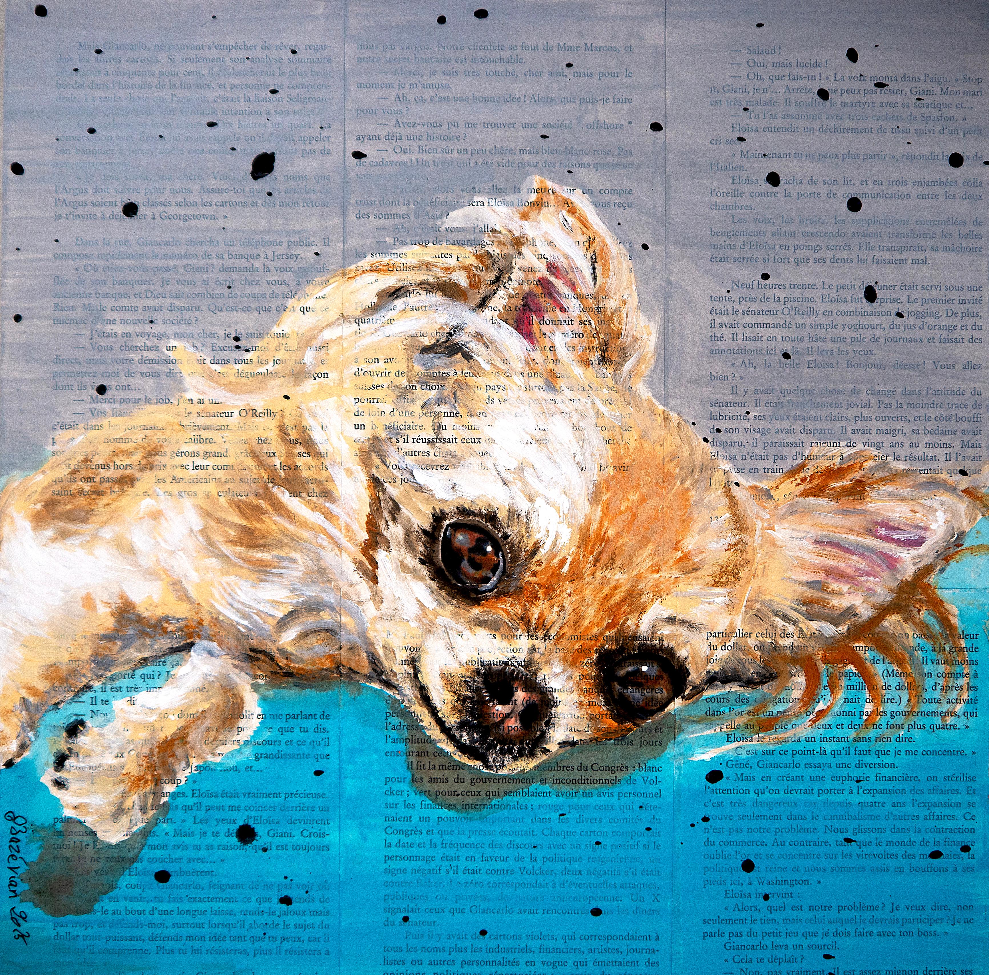 FRENCH SCHOOL Neverending dream Chihuahua Chut les Barbizons!