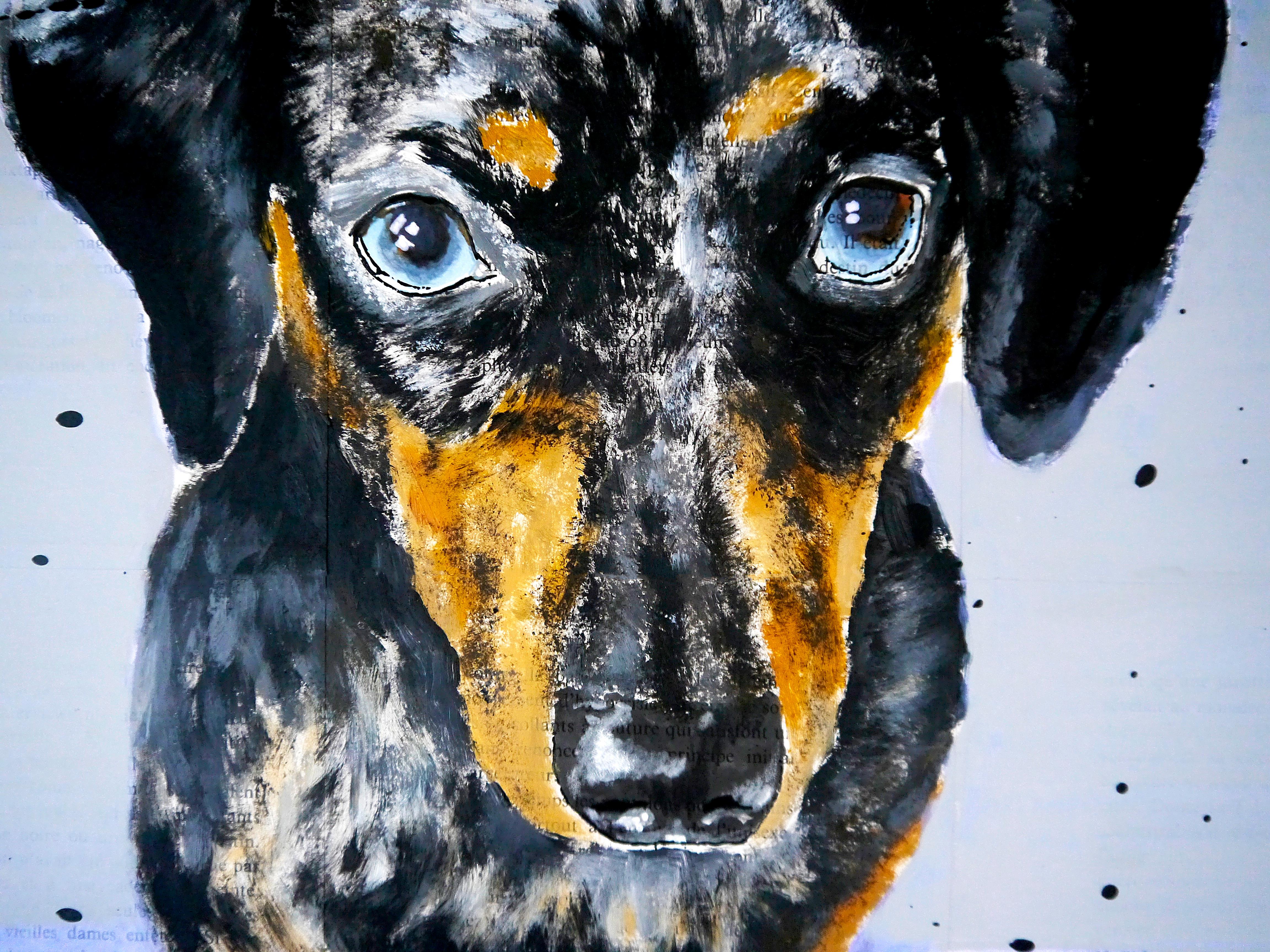 Portrait d'un chien teckel. 

Portrait introspectif d'un teckel. Les œuvres, qui mêlent réalisme et abstraction, explorent les émotions humaines à travers des sujets animaux, rendus avec une immédiateté saisissante et une douce