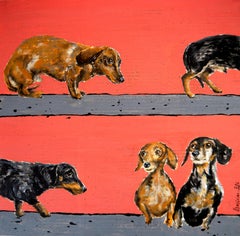 Portrait Timid Dachshund dogs Walk - FRENCH SCHOOL Chut les Barbizons! DOG