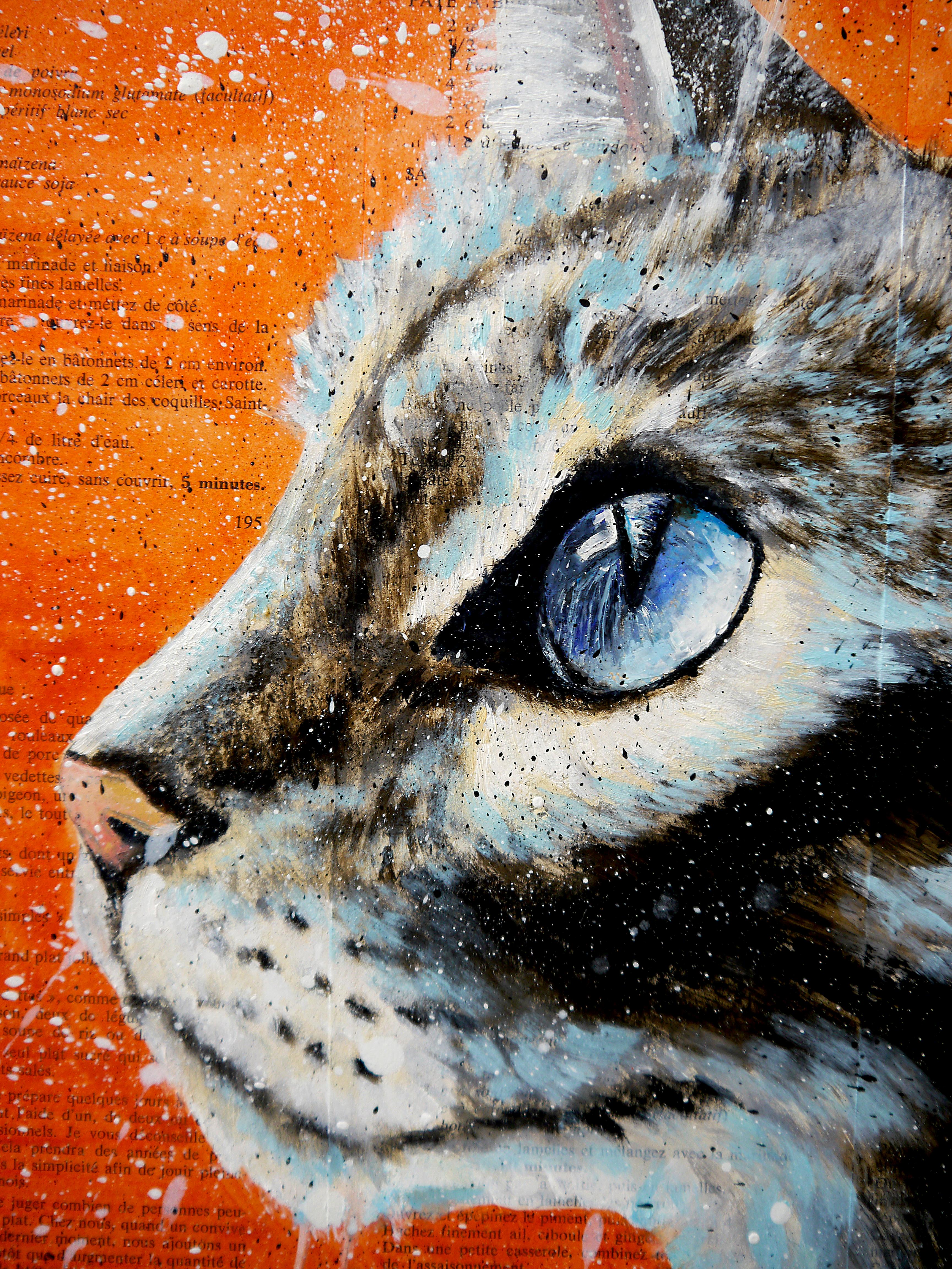 gatto eau