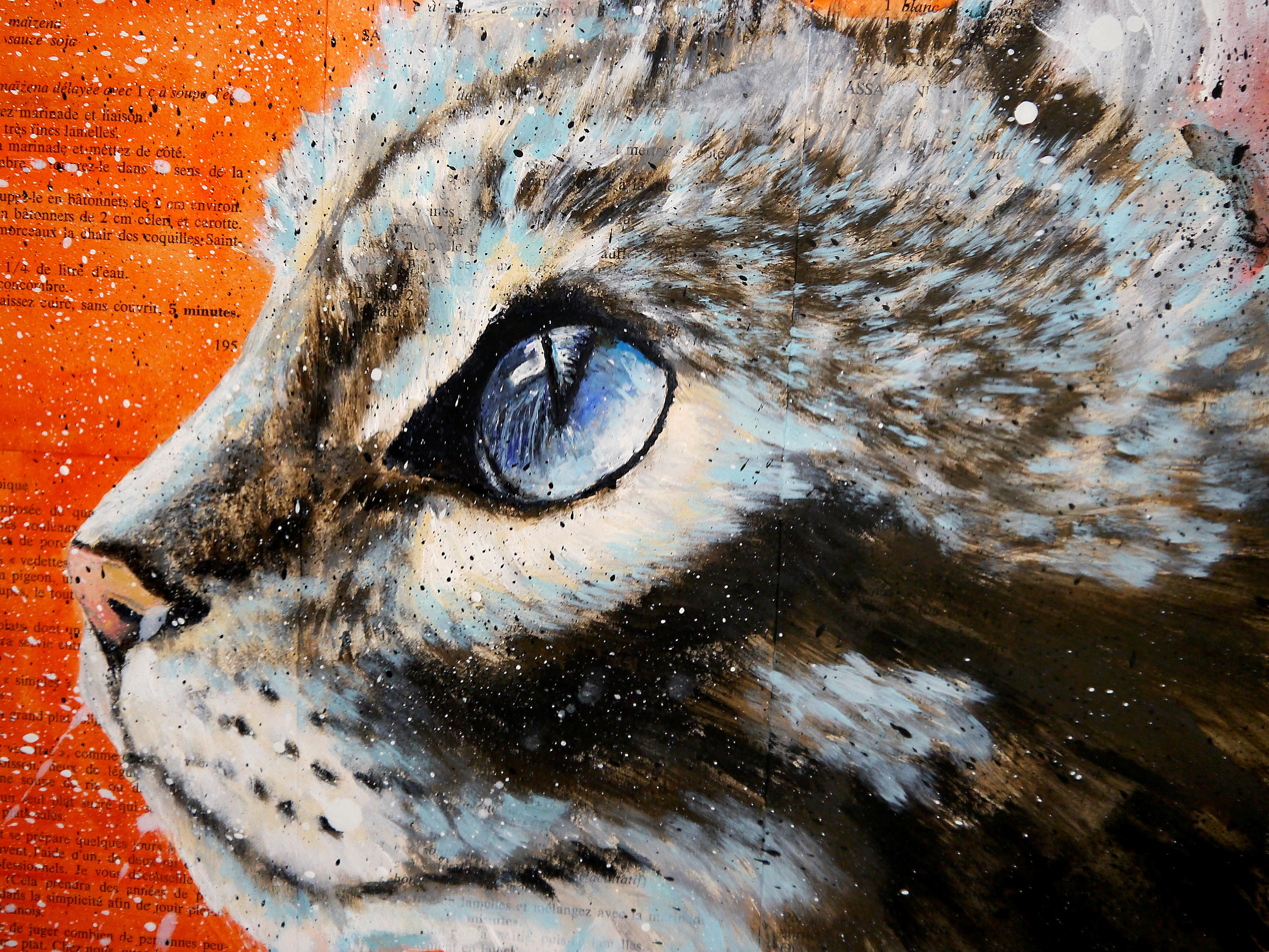 eau gatto