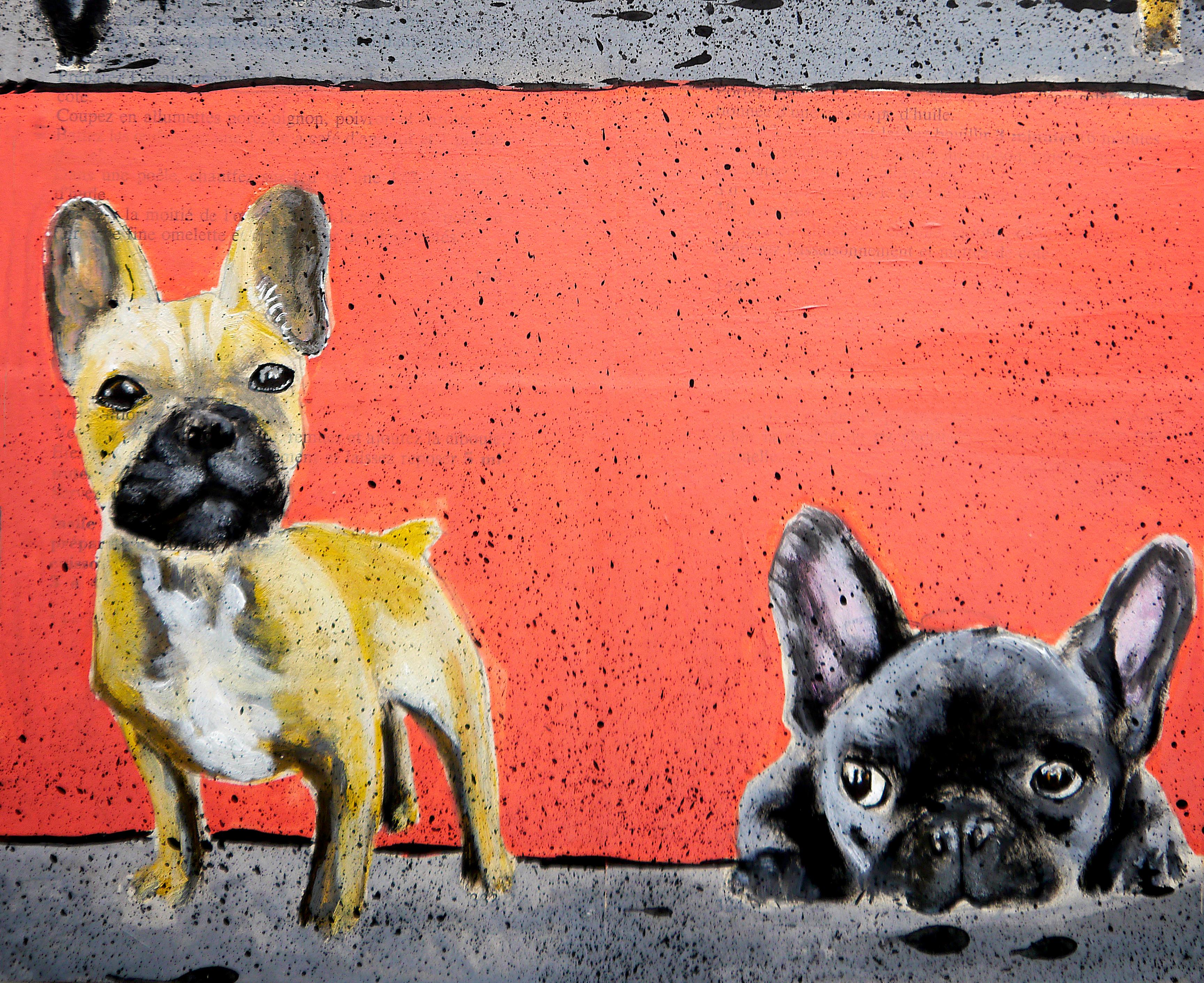 mural french bulldog