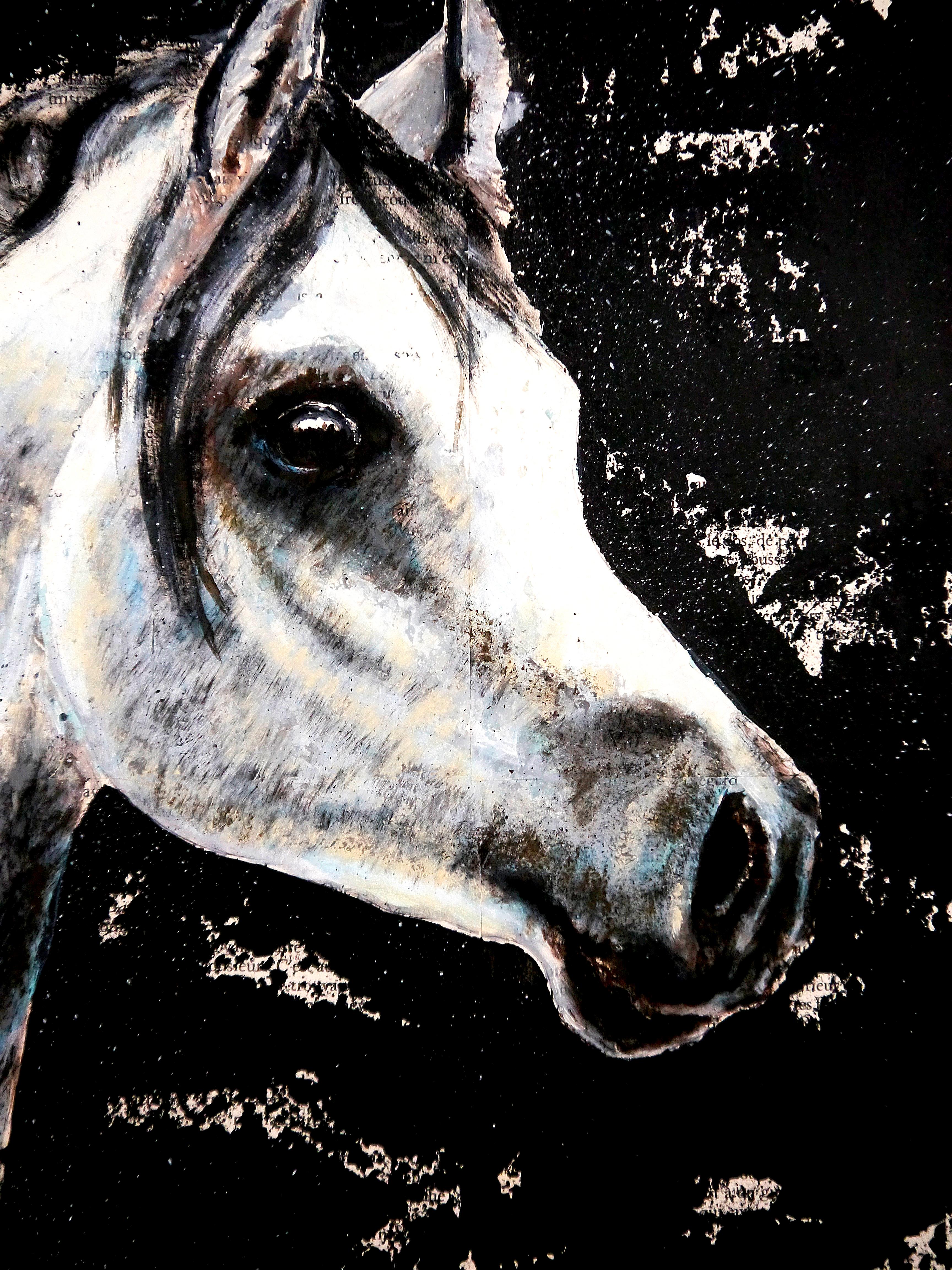 Caballo blanco 

Primer plano de retrato animal.

Técnica: óleo, acrílico y tinta sobre páginas de libro antiguo en marco de madera 40x40cm ■■ 15,8x15,8 pulgadas

Sostenibilidad: El marco de madera lo fabrica el artista reciclando  libros antiguos.