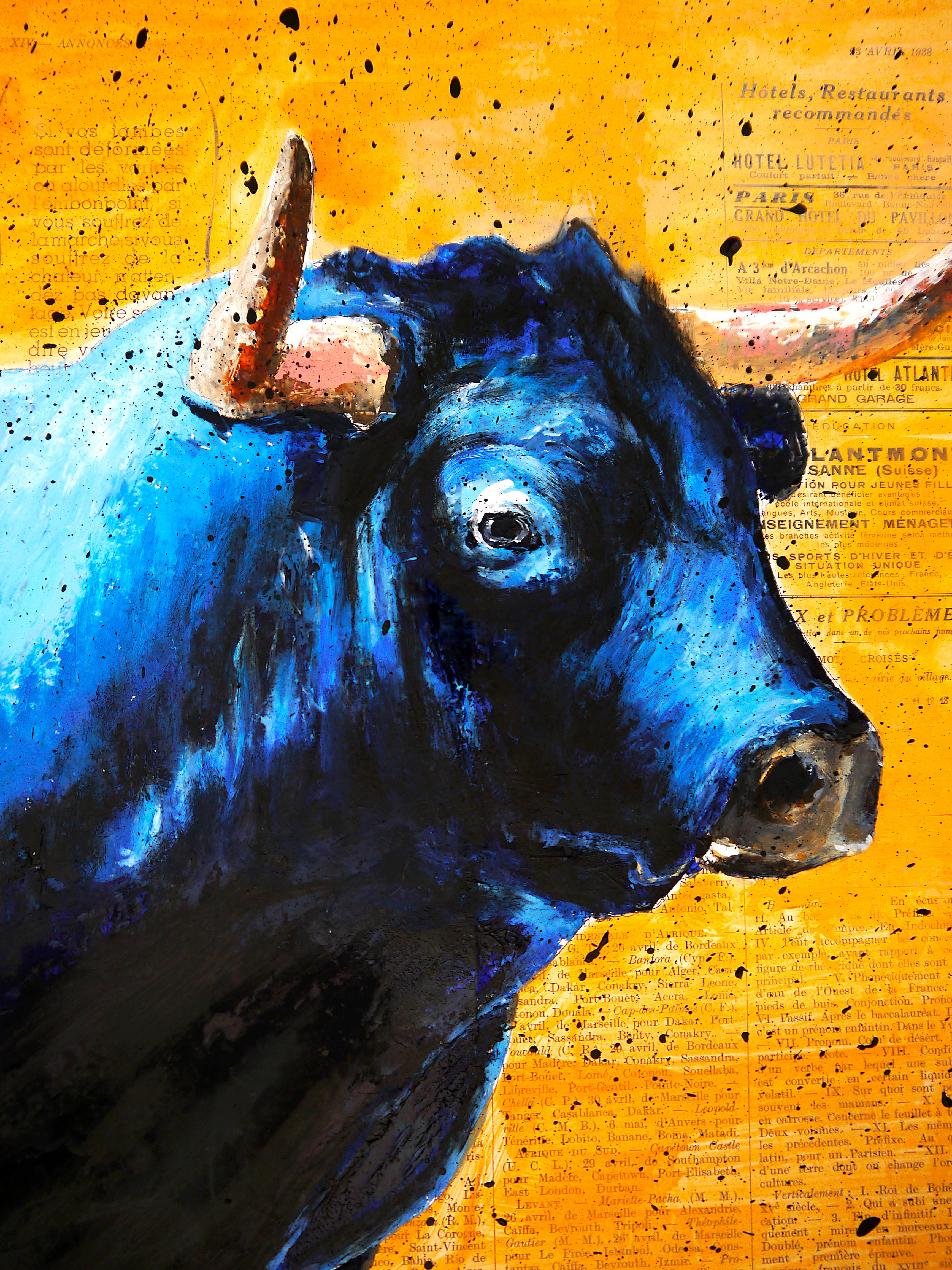 code blue bull