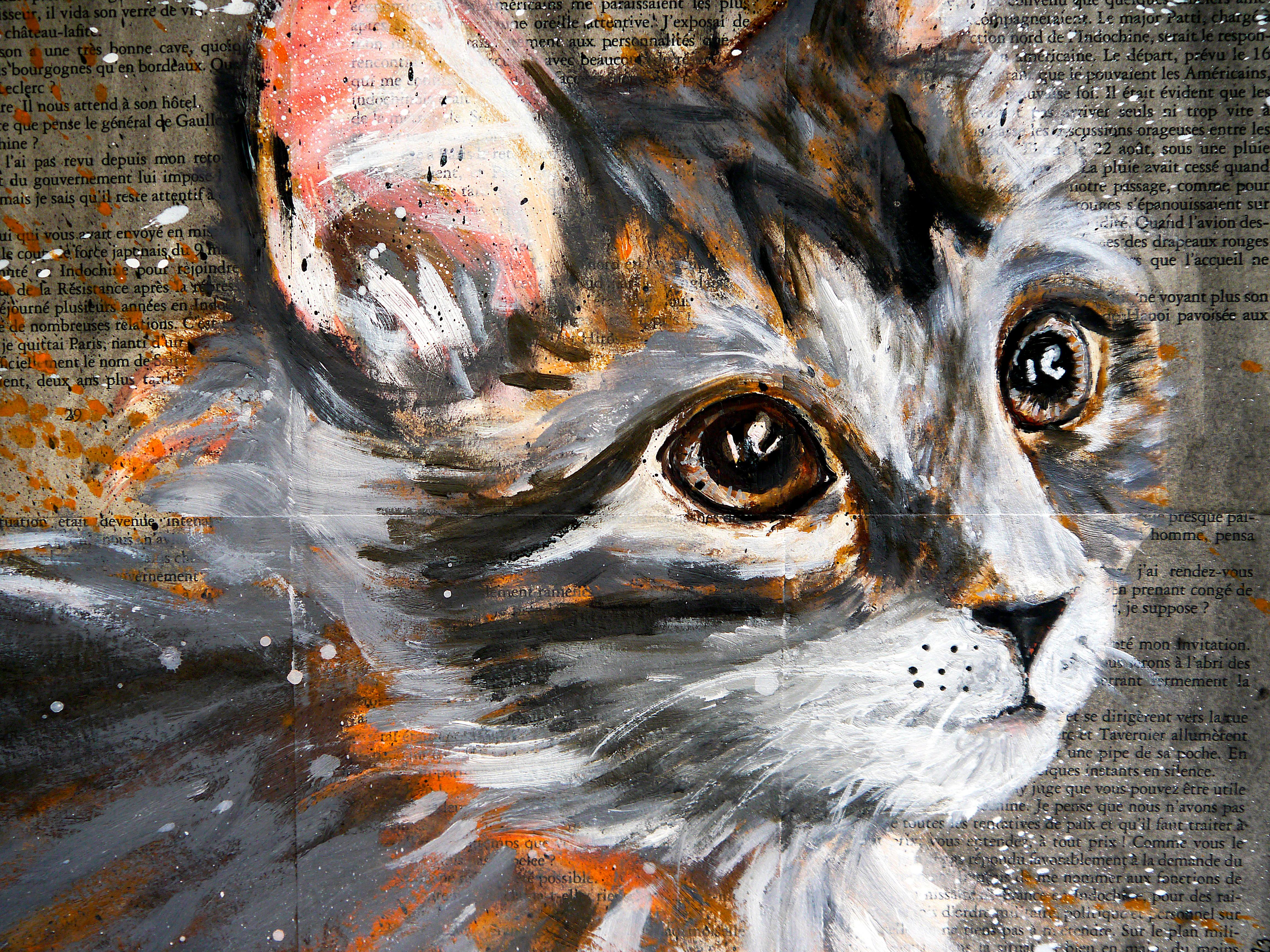 Französische Schule  Porträt Kitten – Katze –  Ölgemälde 21. Post Impressionist im Angebot 1