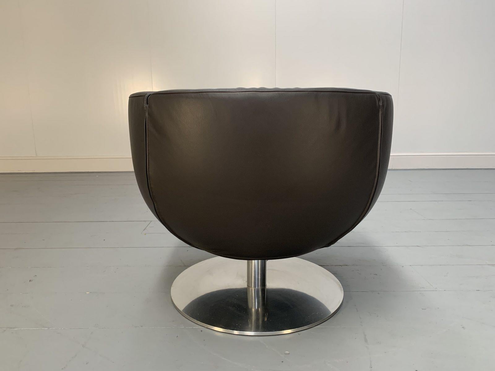 Contemporary B&B Italia Tulip Chair in Dark Brown Leather For Sale