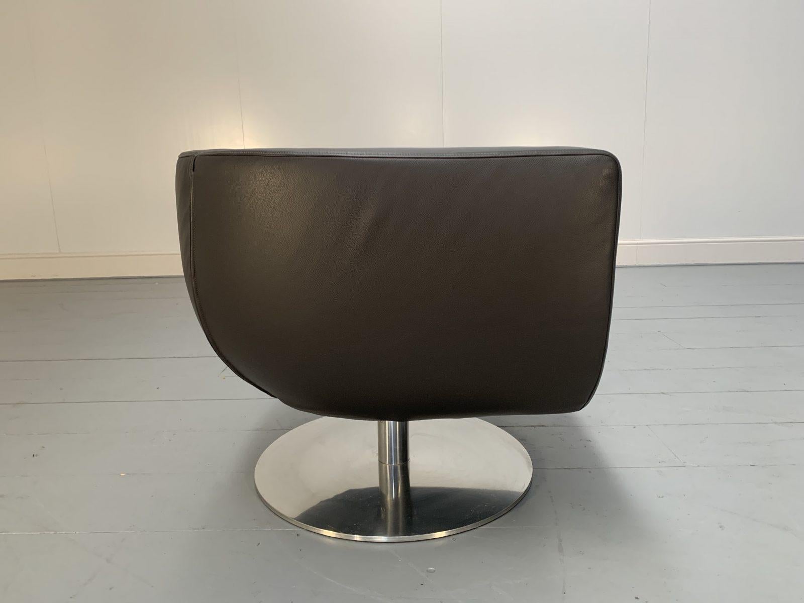 B&B Italia Tulip Chair in Dark Brown Leather For Sale 3