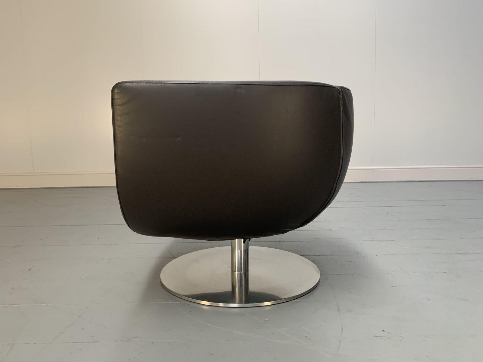 B&B Italia Tulip Chair in Dark Brown Leather For Sale 4