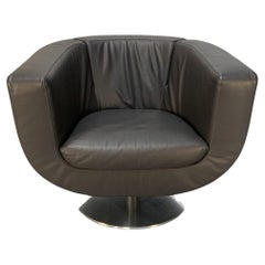 Used B&B Italia Tulip Chair in Dark Brown Leather