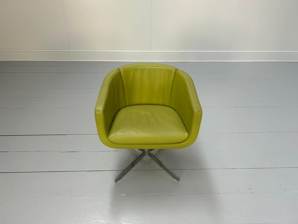 B&B Italia Sillón 