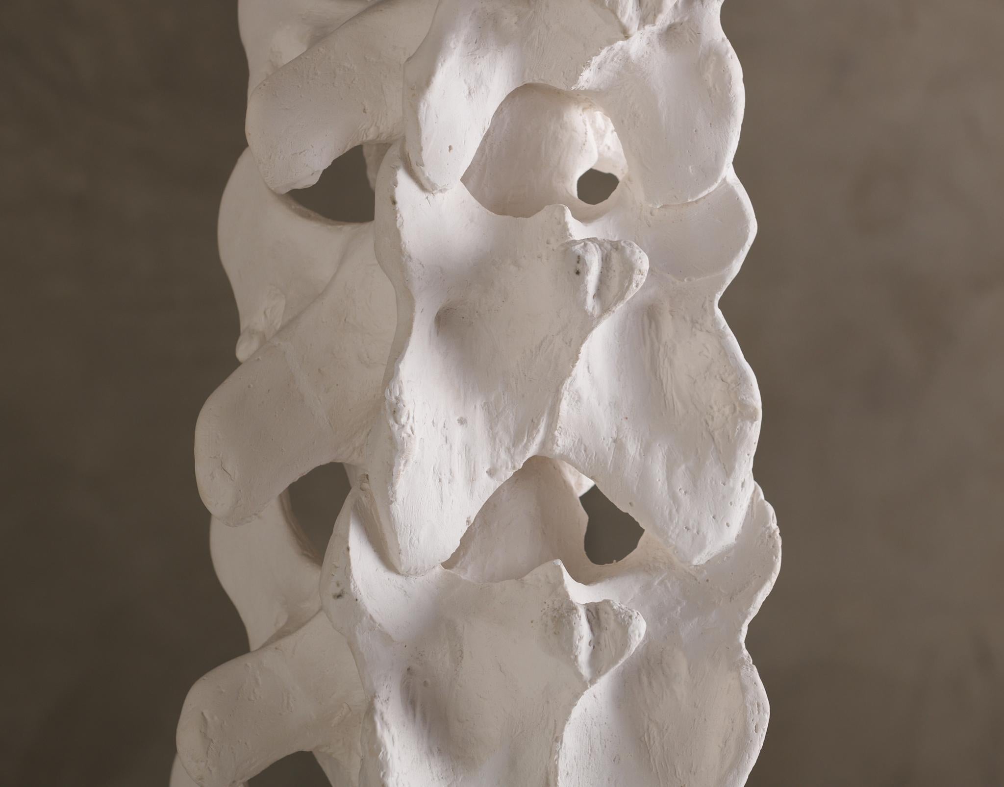 BCW Vertebrae Table Lamp From The Primal Collection For Sale 1