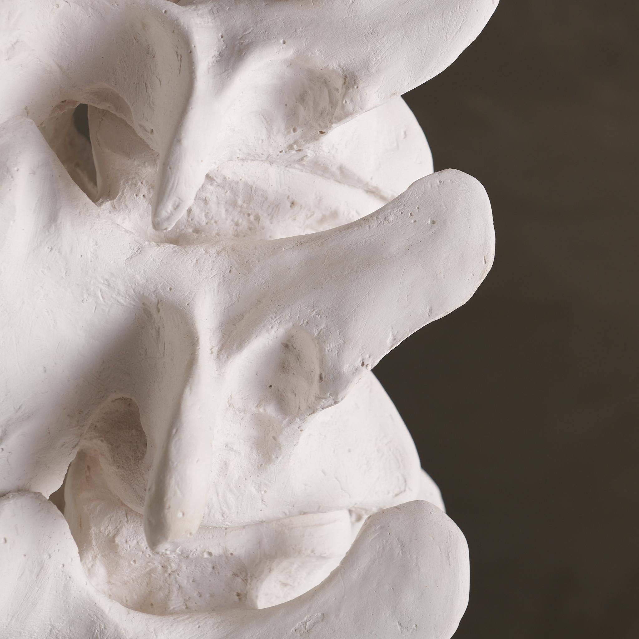BCW Vertebrae Table Lamp From The Primal Collection For Sale 2