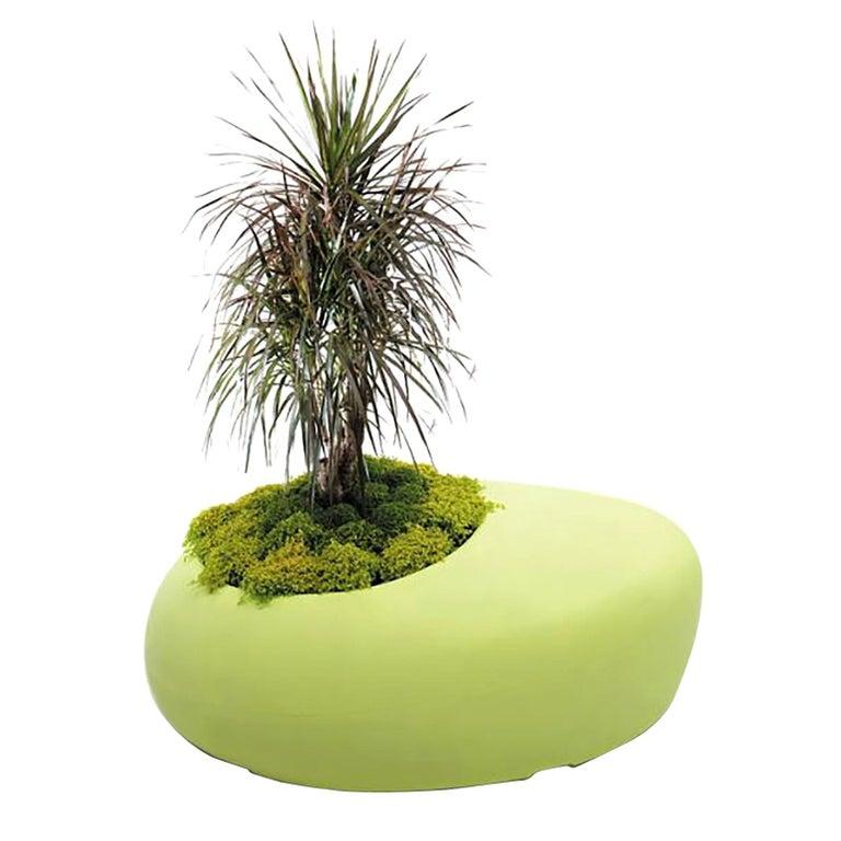 BDLove Planter designed by Ross Lovegrove for BD Barcelona. Lovegrove creates his design motivated by the philosophy and elegance of nature. The shape of this planter flows from nature and the size is considerable which makes it more combined with