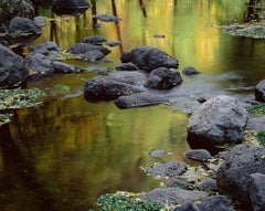 Oak Creek, Autumn, Photograph, C-Type