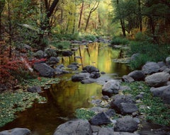 Oak Creek, Autumn, Photograph, C-Type