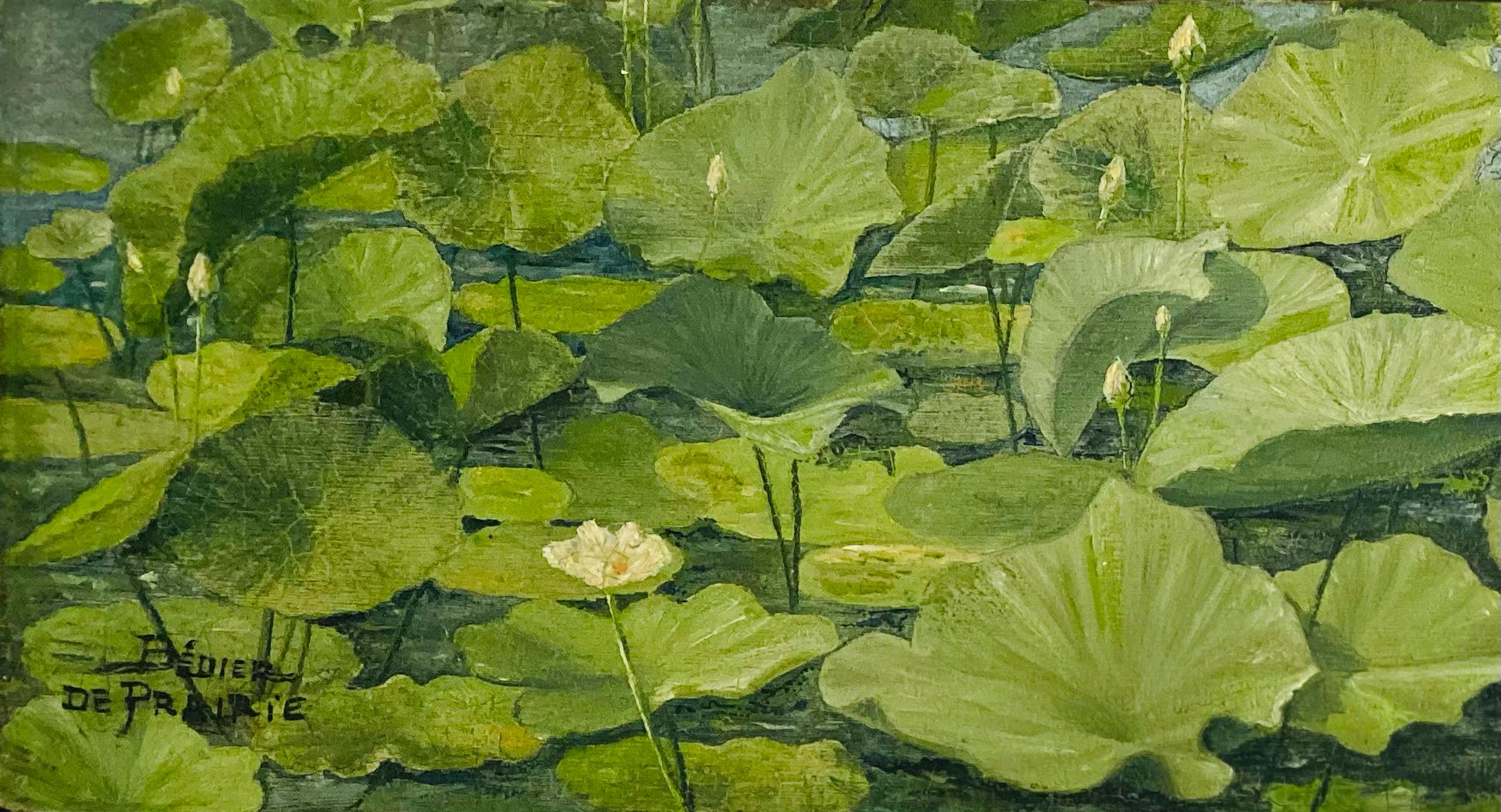 'Pianta acquatica' di De Prairie Bédier, 20° secolo,  Francese - Painting Realismo di Bédier de Prairie