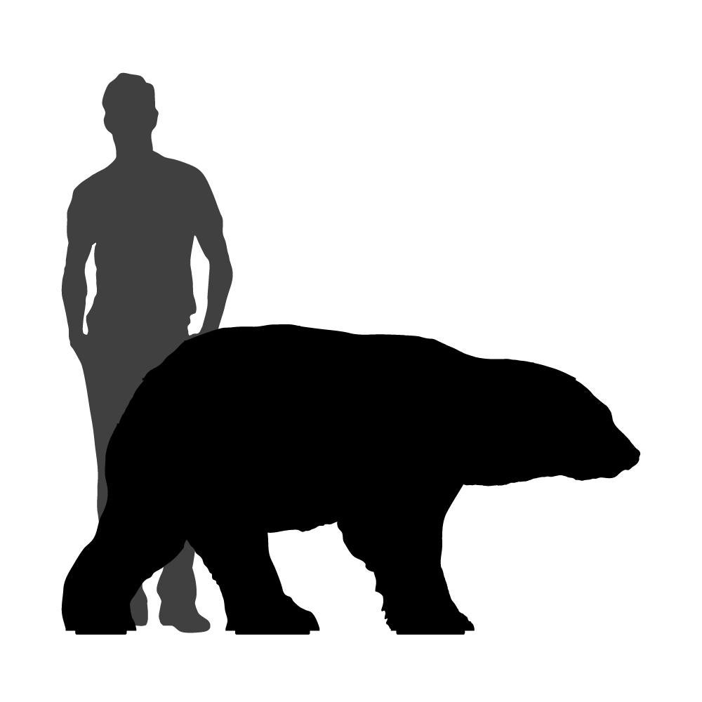 Bibliothèque ours blanc JUNIOR Neuf - En vente à FONTAIN, FR