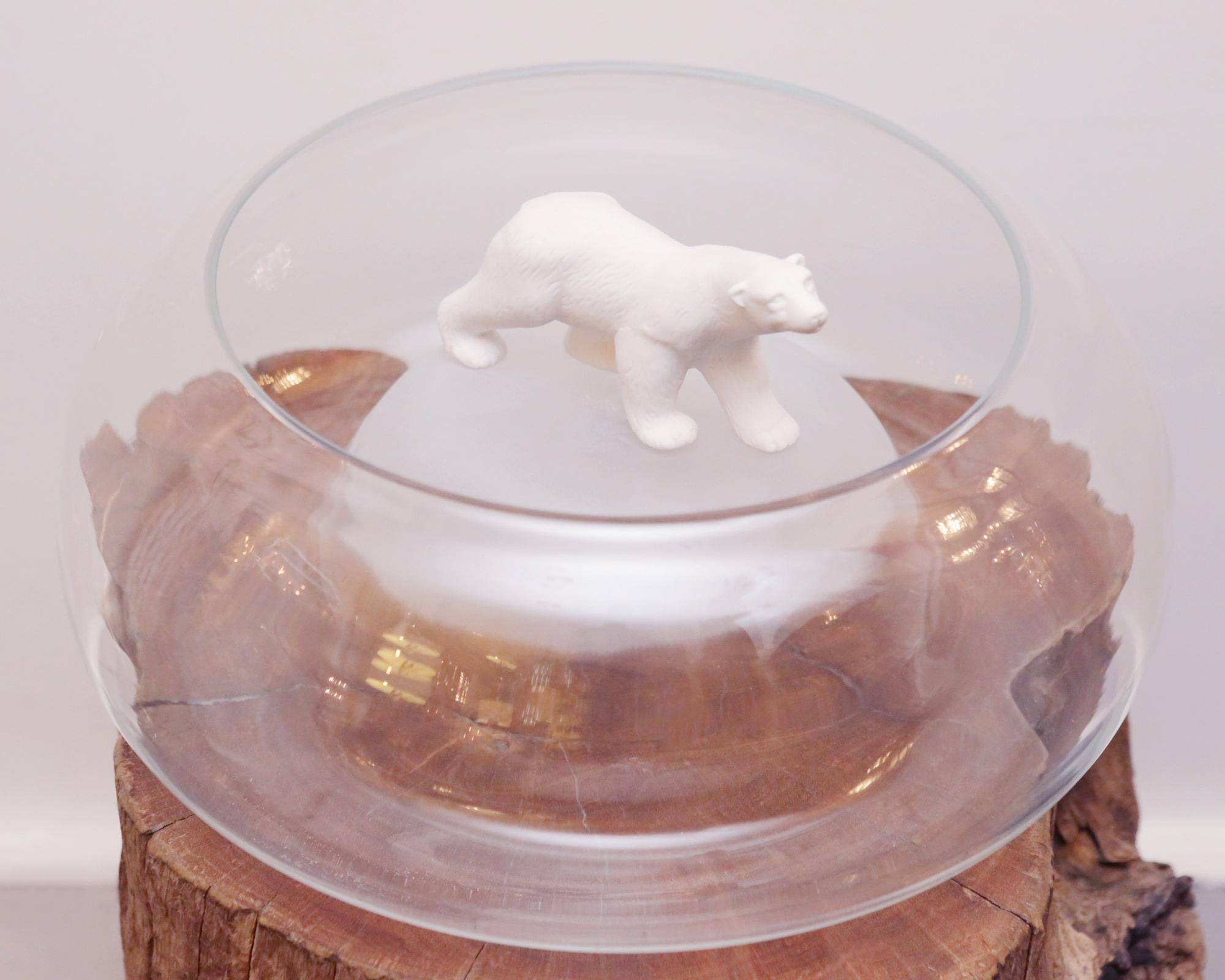 Ourson rond avec tasse en verre transparent et
avec ours en céramique blanche.