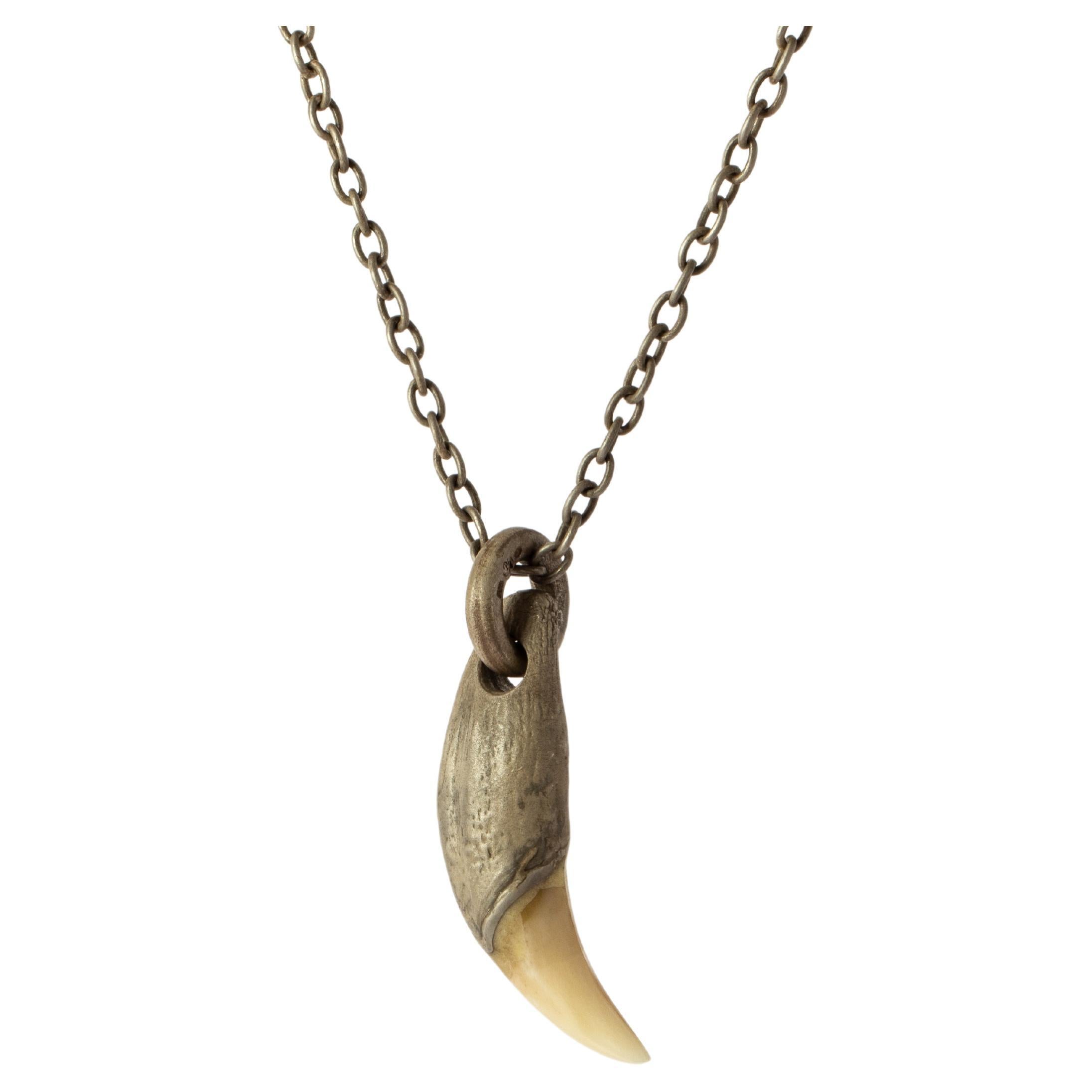 Bear Tooth Necklace Ghost Hybrid (Large, DA+B) For Sale