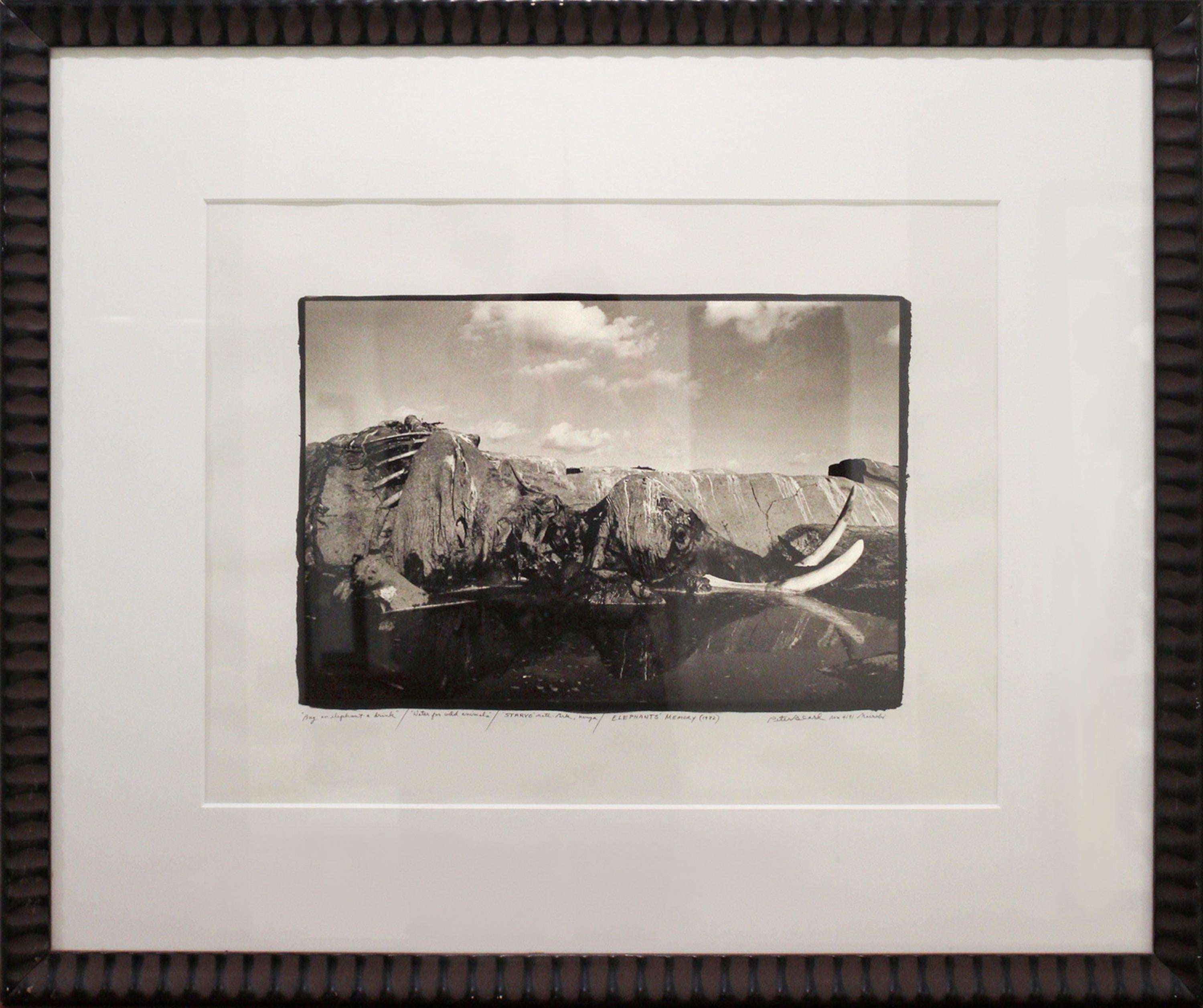 « Donnez un verre à un éléphant » / « Eau pour les animaux sauvages » / « STARYO » / parc national de Keny - Print de BEARD, PETER