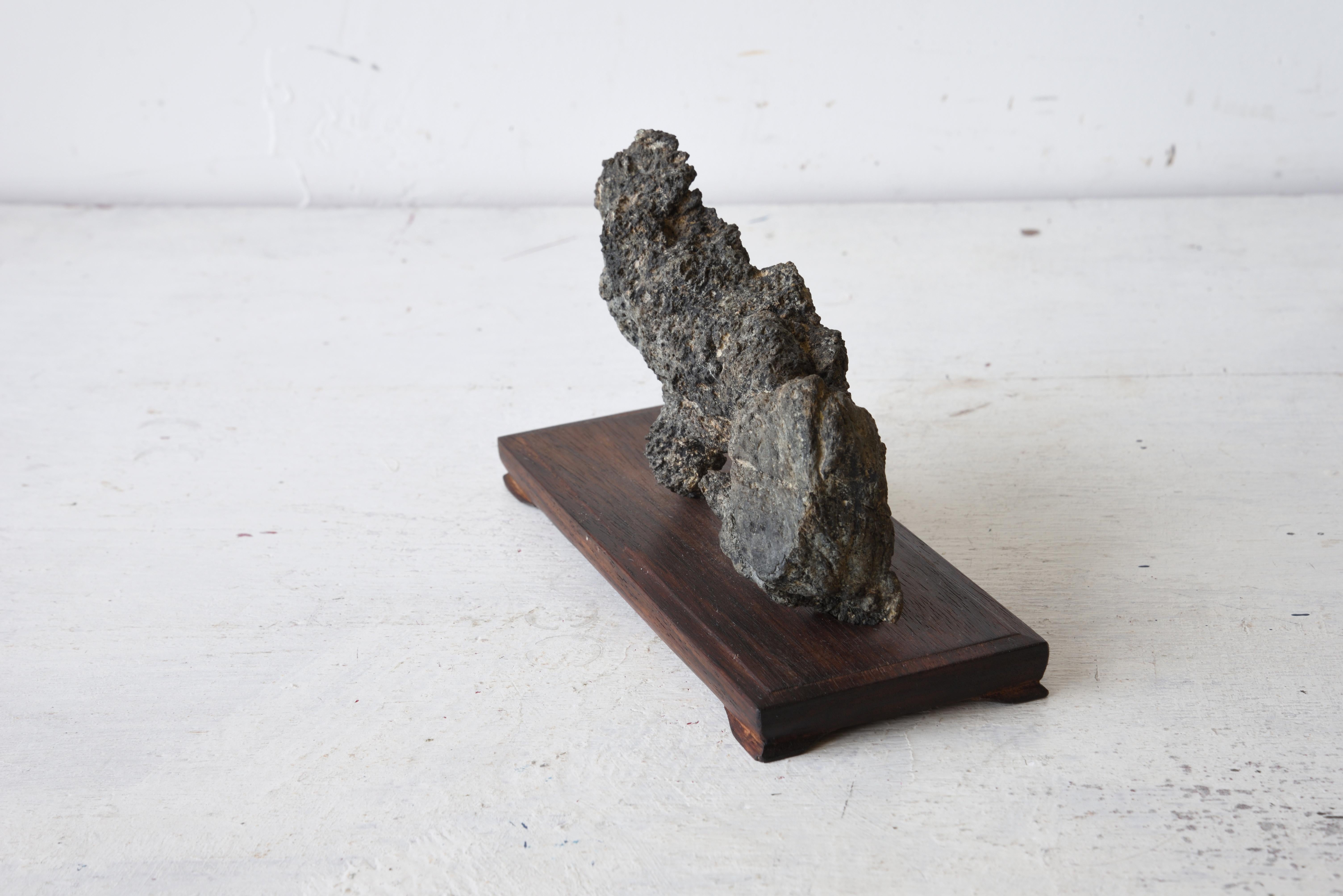 18th Century and Earlier Beast Japanese abstract suiseki scholar's stone For Sale