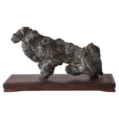 Beast Japanese Abstract Suiseki Scholar's Stone