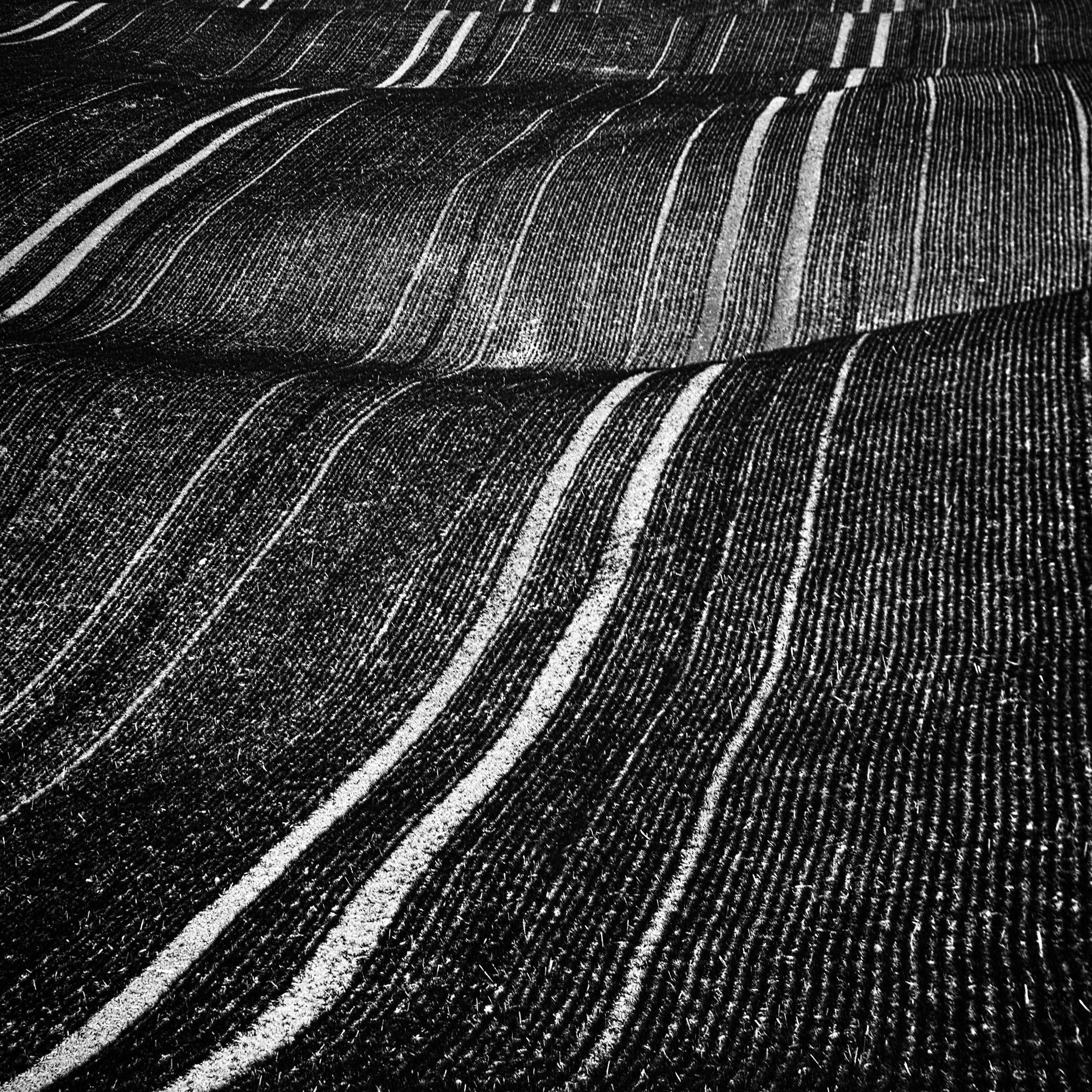 Black and White Photograph Beata Podwysocka - Fields de velours côtelé, photographie, jet d'encre d'art