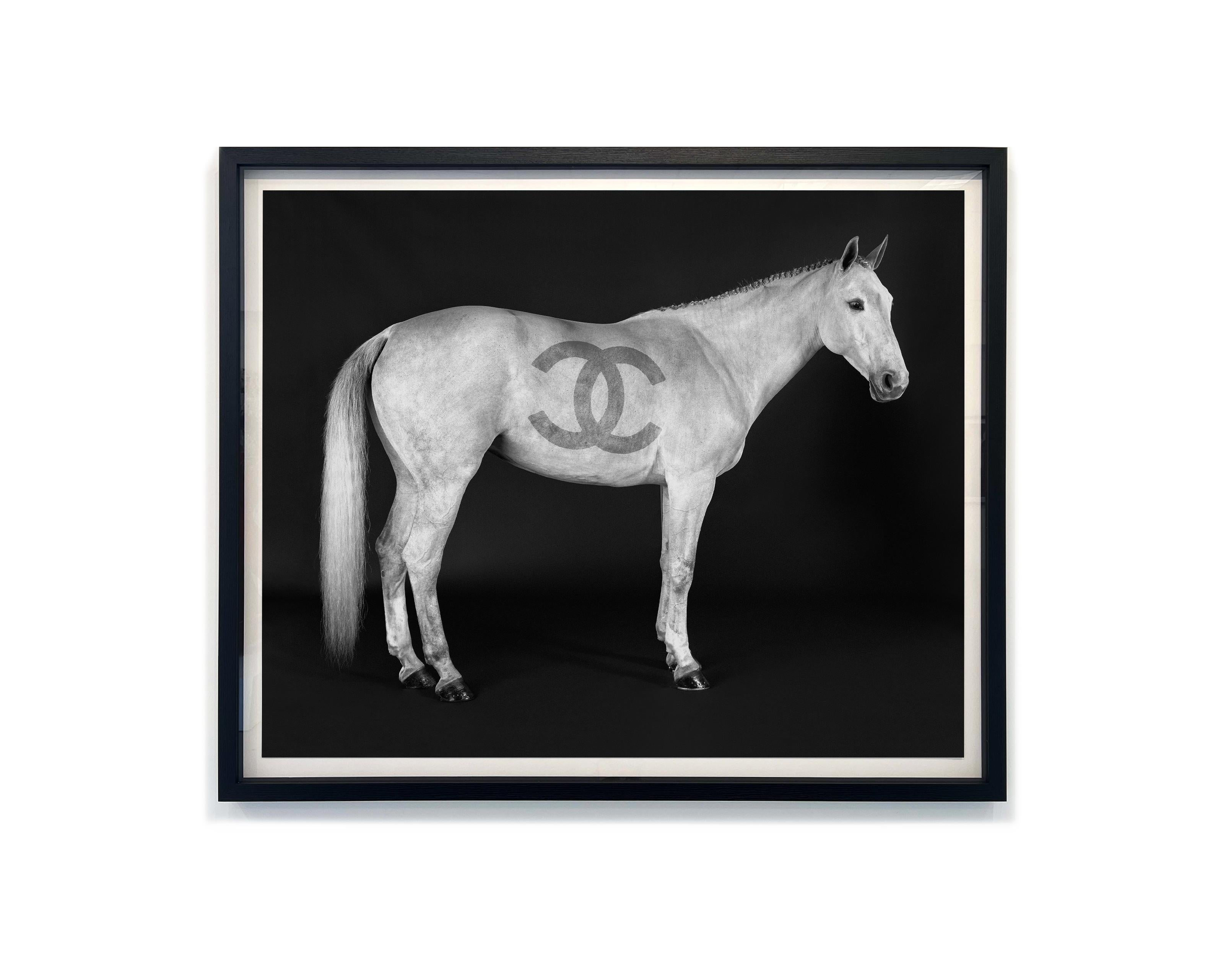 Beau Simmons - Ivory Couture, Photography 2024, Printed After im Angebot 1