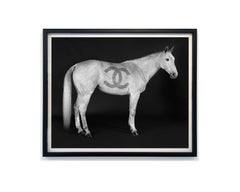 Beau Simmons - Ivory Couture, Photography 2024, Printed After