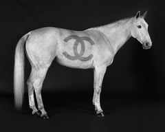 Beau Simmons - Ivory Couture, Photography 2024, Printed After