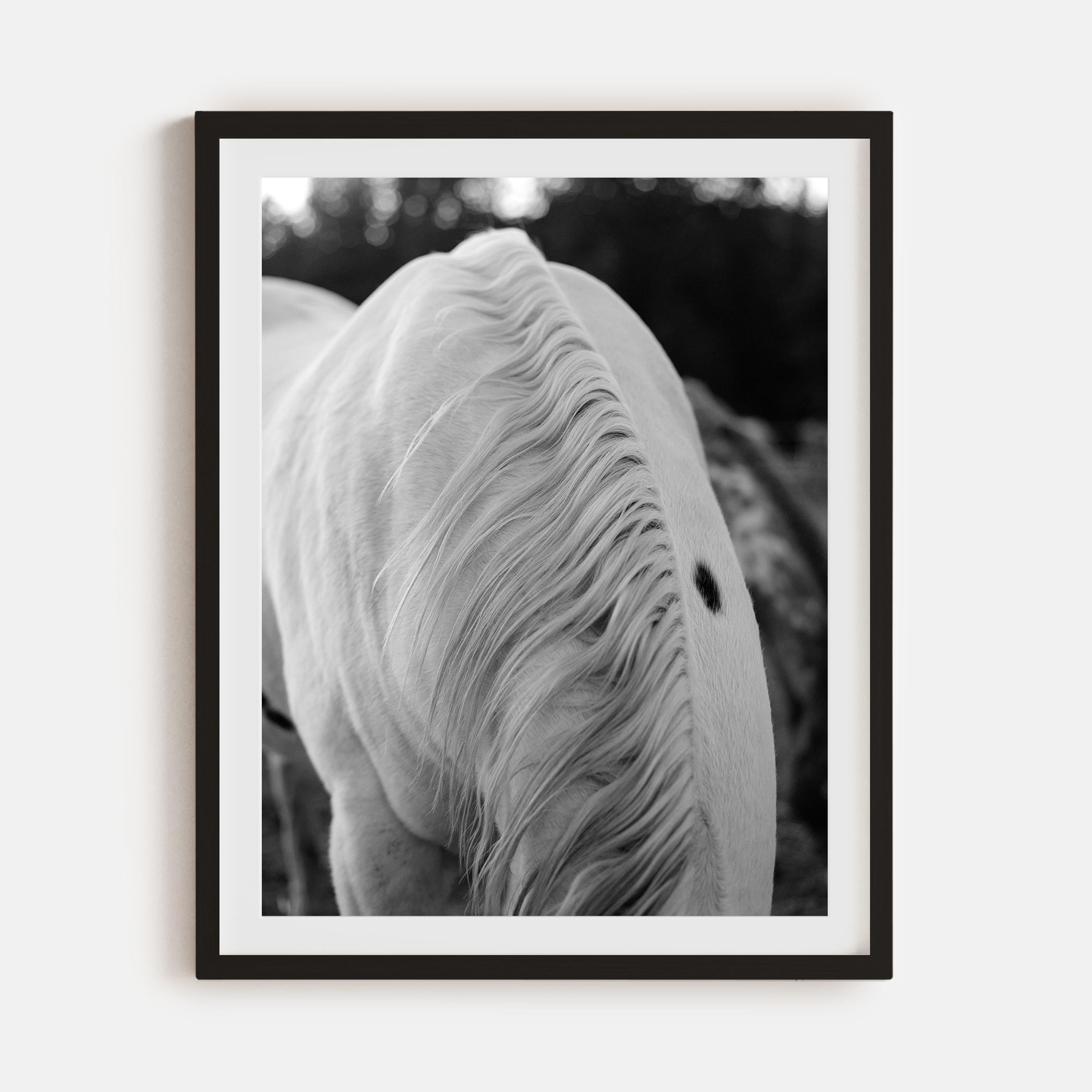 Beau Simmons - Regal, Photography 2022, Printed After im Angebot 1