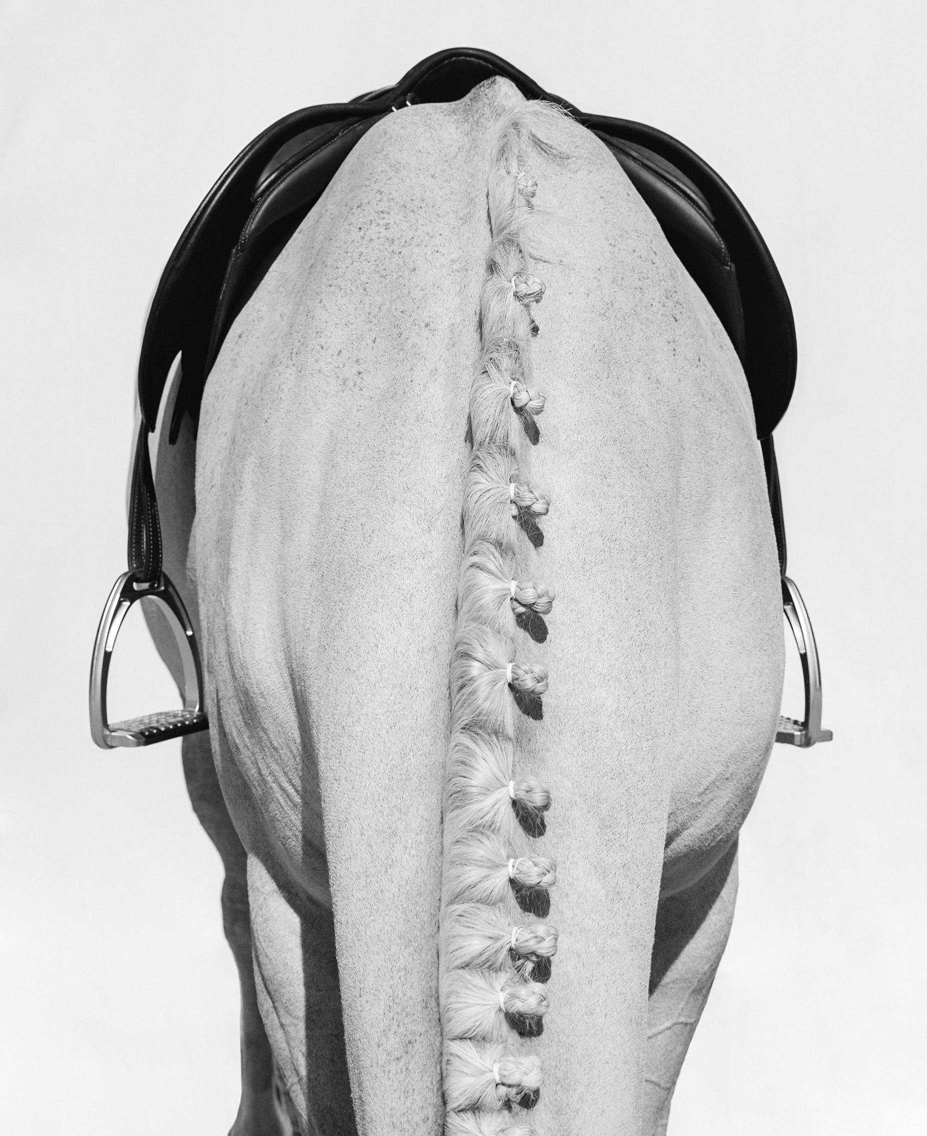 Serie: La Collezione Equestre
Stampa a pigmenti d'archivio
Tutte le misure disponibili senza cornice (con cornice):
40" x 32"	(47" x 39")
60" x 48"	(67" x 55")
75" x 60"	(84" x 69")
Edizione di 10 + 2 prove d'artista in totale in tutte le