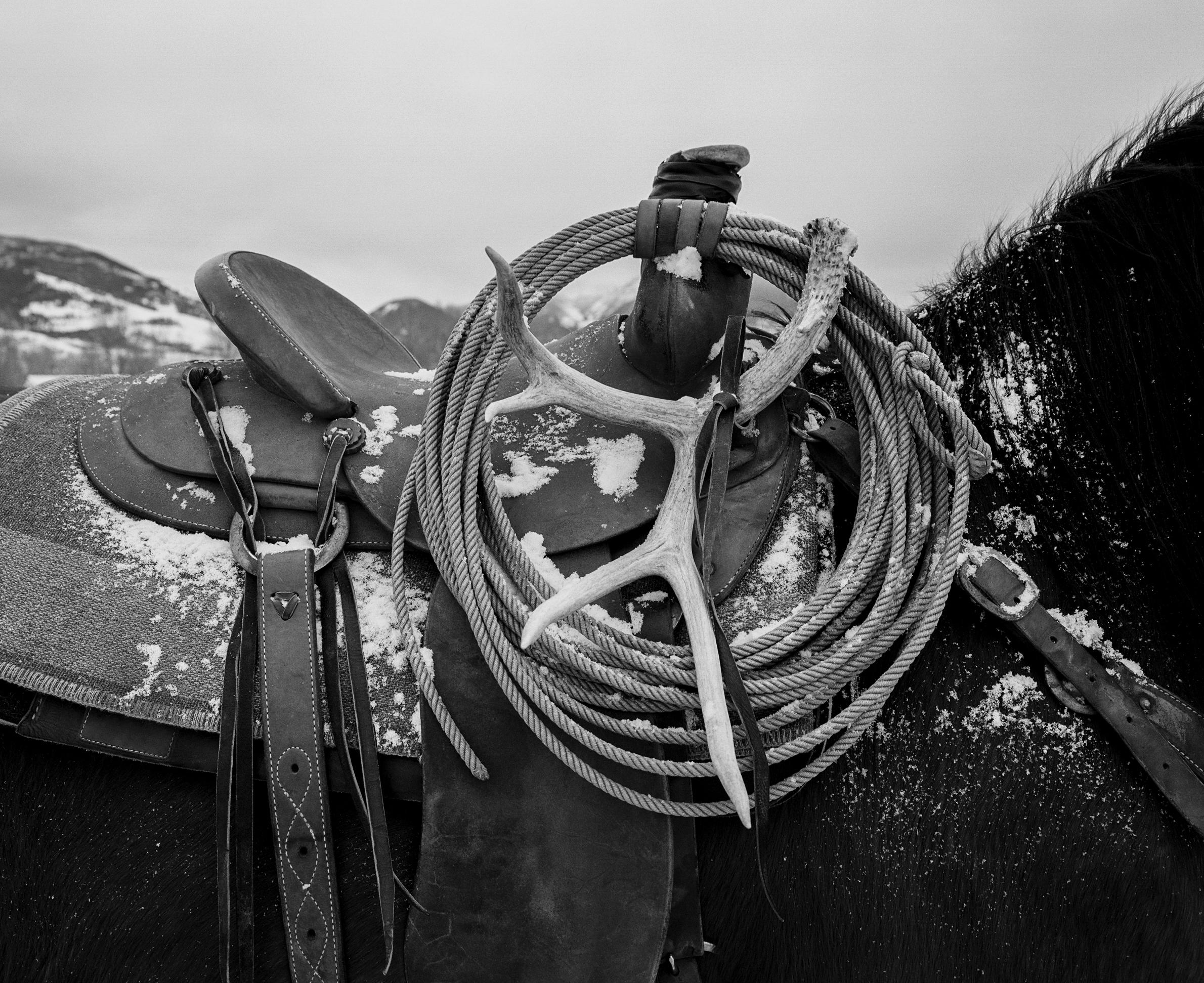 Beau Simmons - The Long Winter, Photography 2022, Printed After