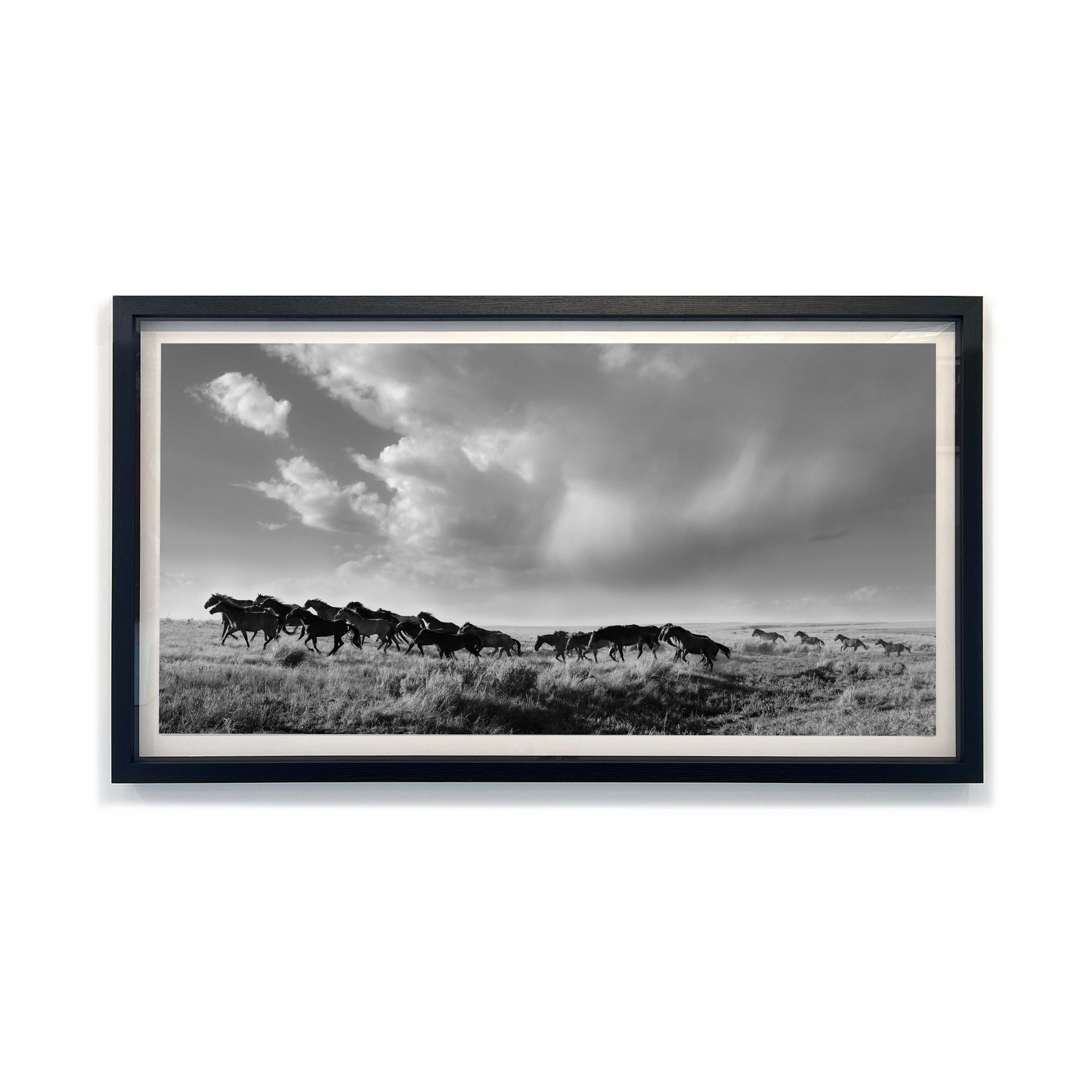 Beau Simmons - The Sound Of Thunder, photographie 2024, imprimée d'après en vente 1