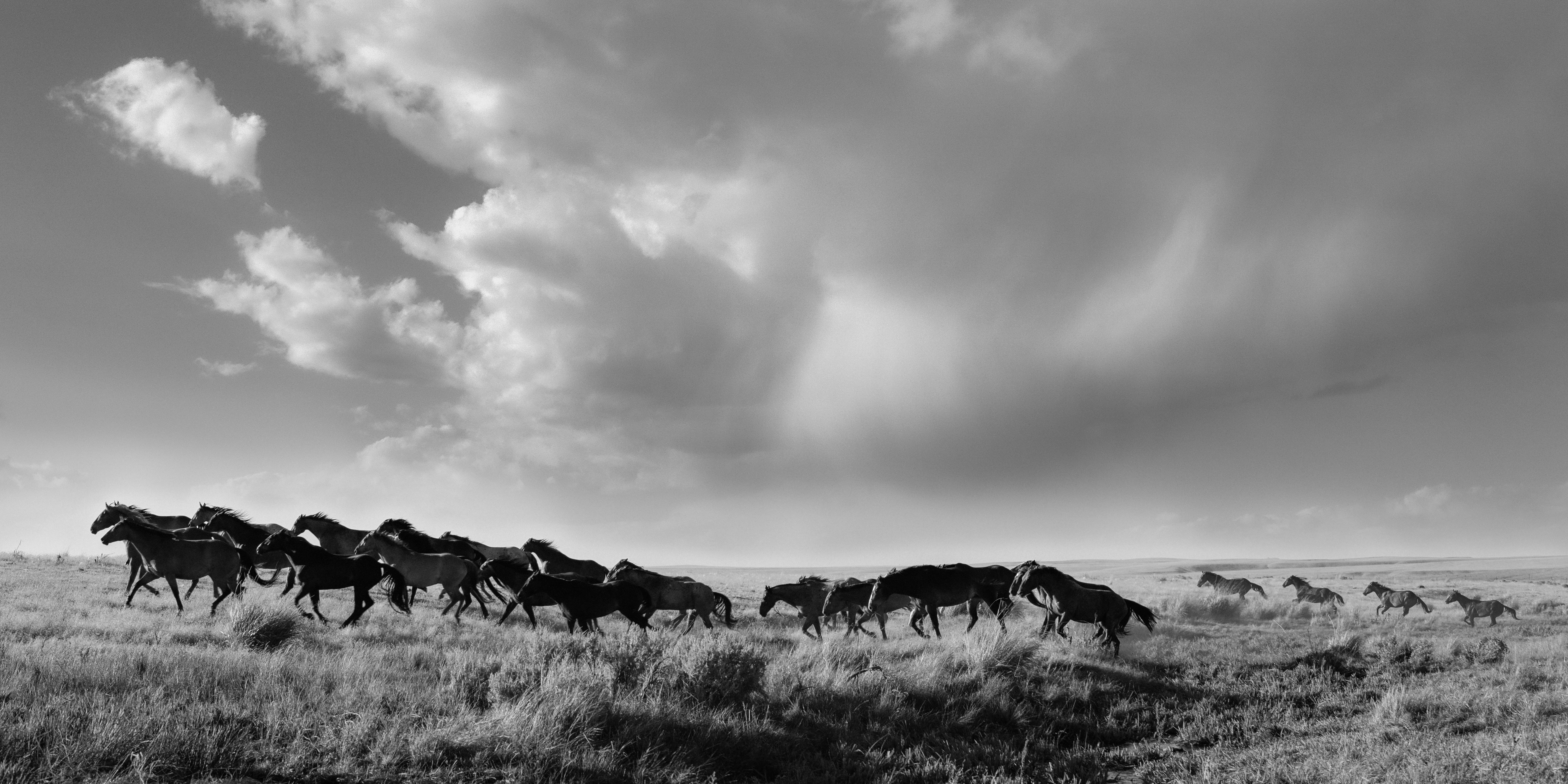 Beau Simmons - The Sound Of Thunder, Photography 2024, Printed After
