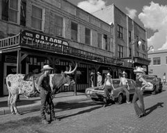 Beau Simmons – Das weiße Elefantensalon im Saloon, Fotografie 2023, gedruckt nach
