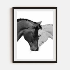 Beau Simmons - Together As One, Photography 2023, Printed After